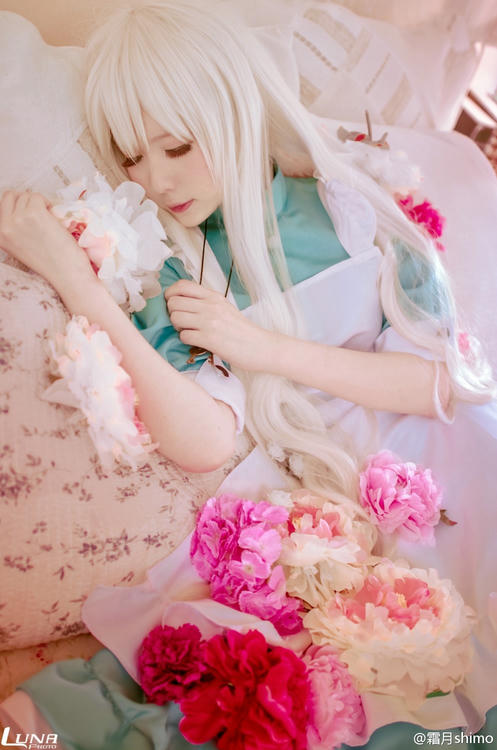 霜月shimo NO.001 微博杂图 [1046P-384MB]_第6集