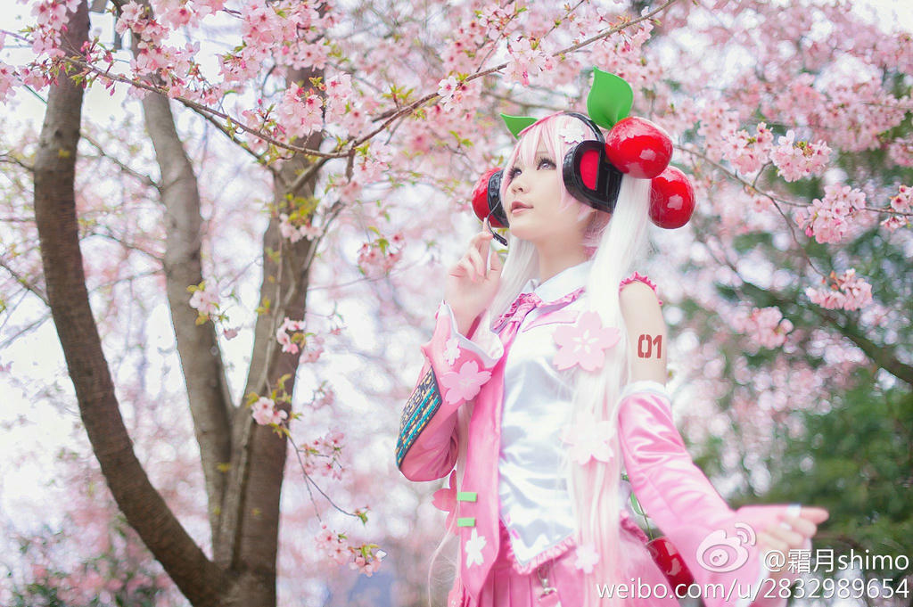 霜月shimo NO.001 微博杂图 [1046P-384MB]_第2集