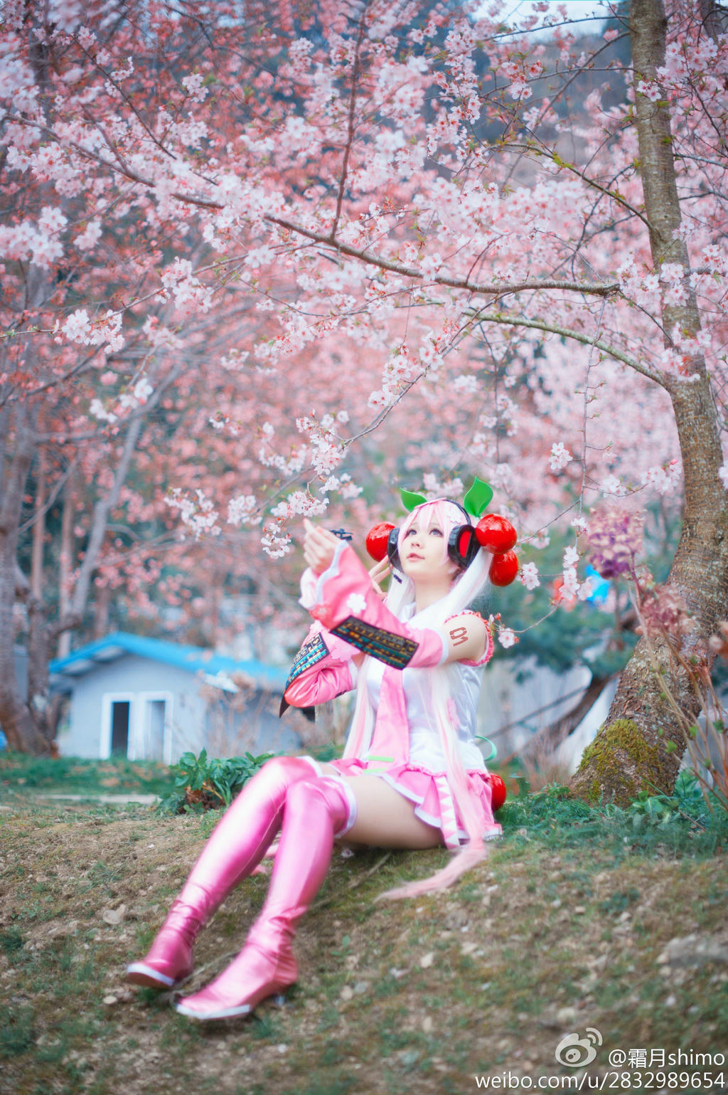 霜月shimo NO.001 微博杂图 [1046P-384MB]_第2集