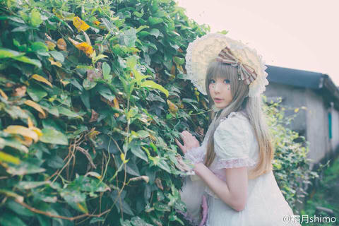 霜月shimo NO.001 微博杂图 [1046P-384MB]_第33集