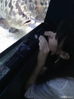 霜月shimo NO.001 微博杂图 [1046P-384MB]_第36集