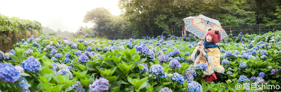 霜月shimo NO.001 微博杂图 [1046P-384MB]_第5集