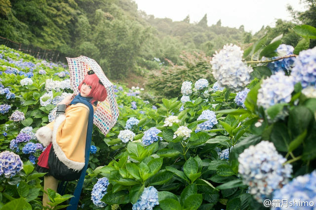 霜月shimo NO.001 微博杂图 [1046P-384MB]_第5集