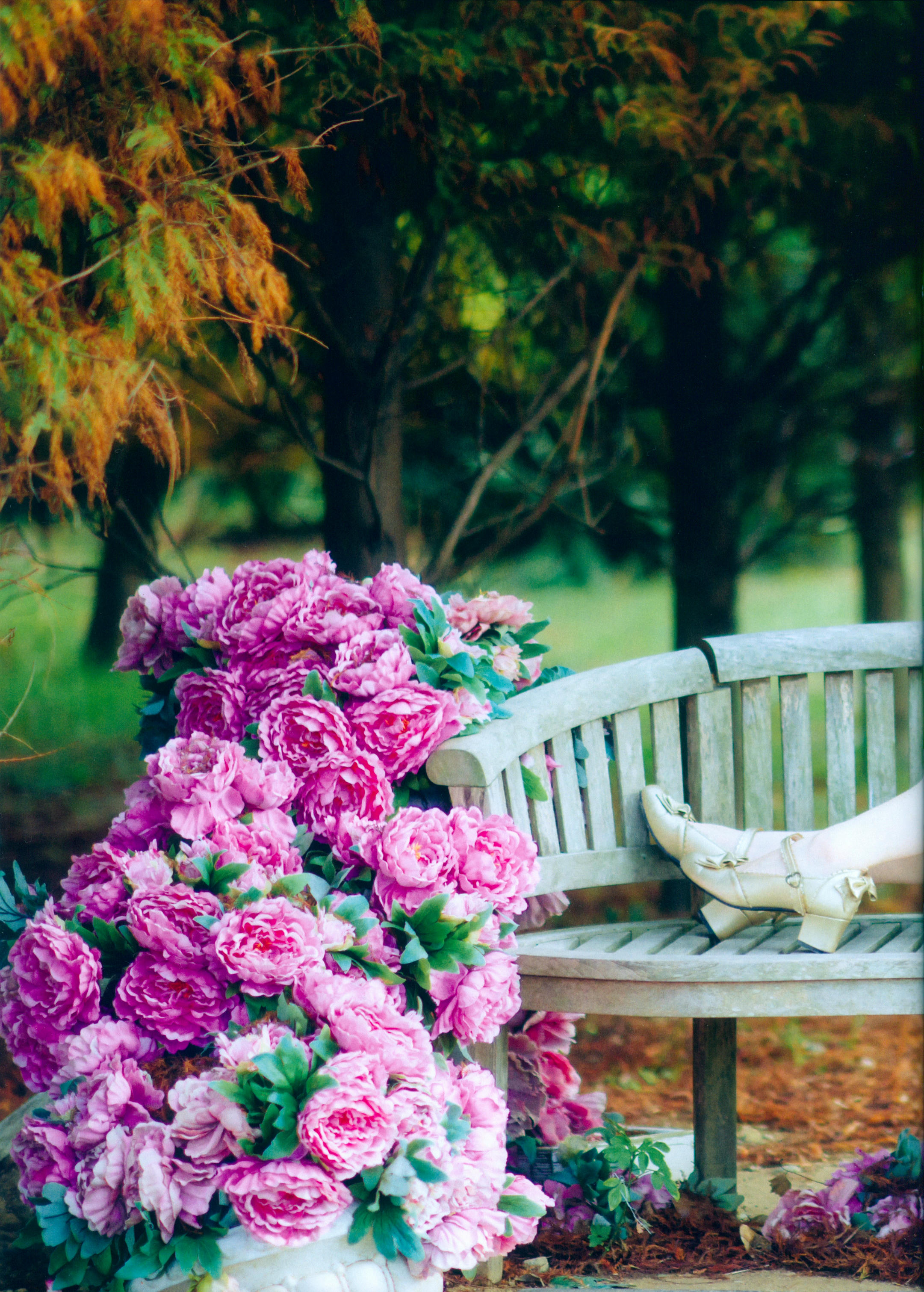 霜月shimo NO.004 Bright Love [50P-333MB]_第1集