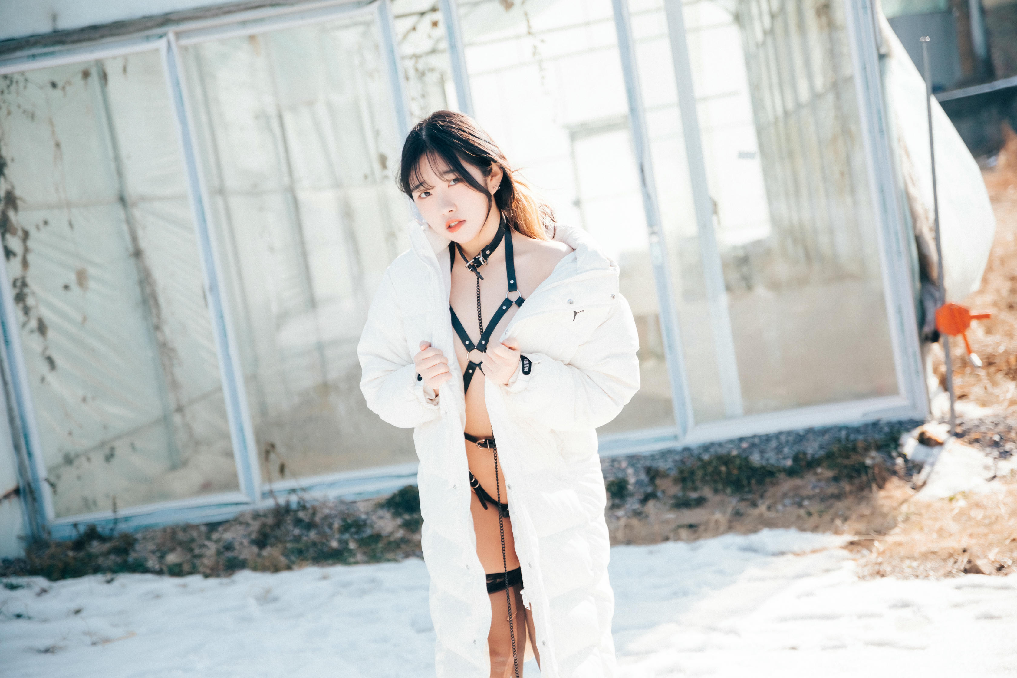 韩国美女-Sonson NO.044 Loozy dog plays [69P／1.18GB]-dog play_第1集