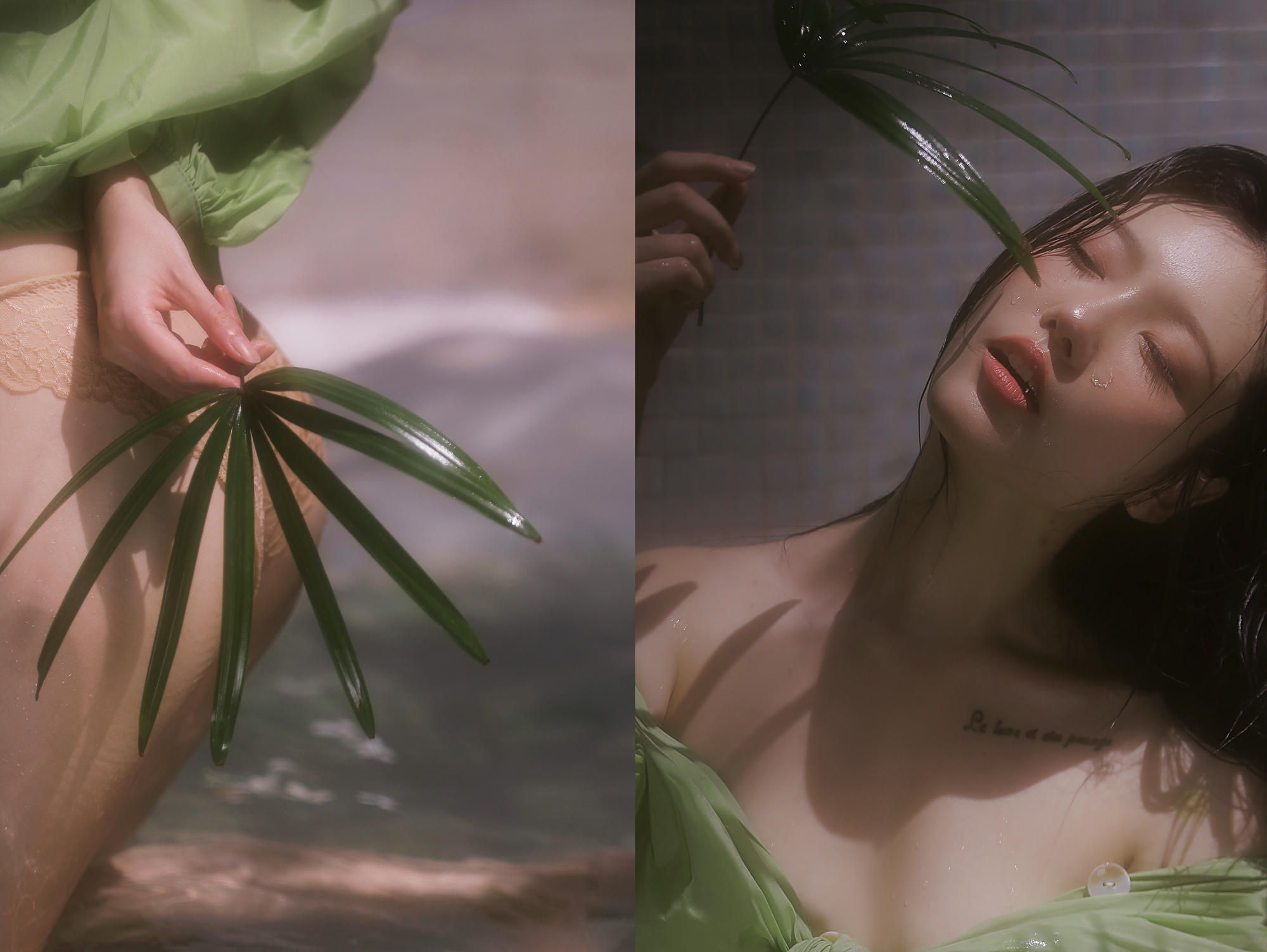 桃良阿宅 NO.041 绿意[23P-257MB]_第1集