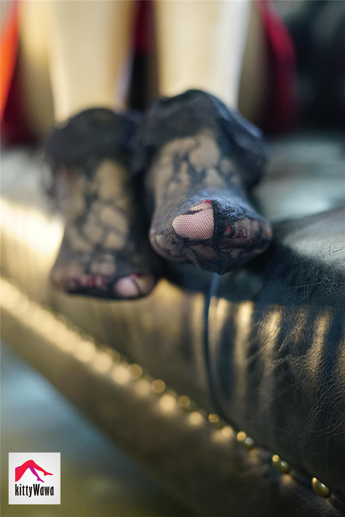 袜小喵 KT010 被玩弄的蕾丝 [99P+21M]_第4集