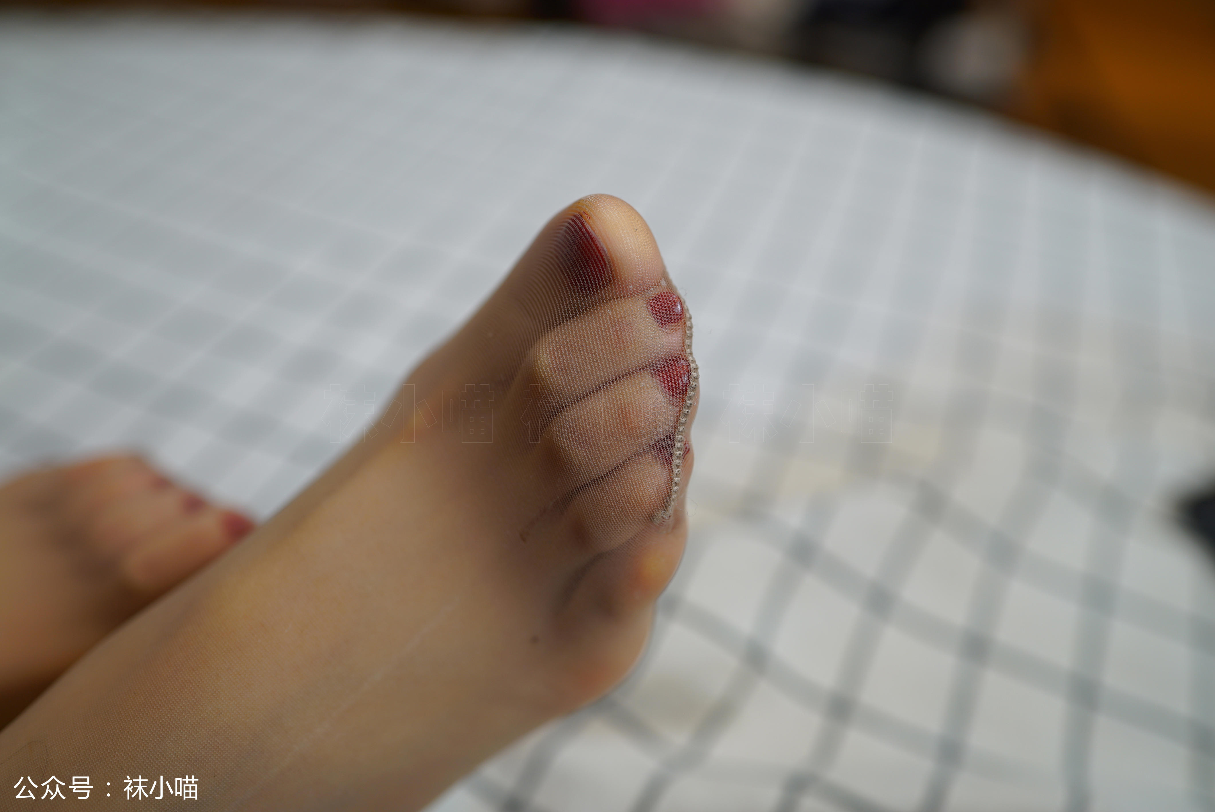 袜小喵 KT117 金银 [59P+50M]_第2集