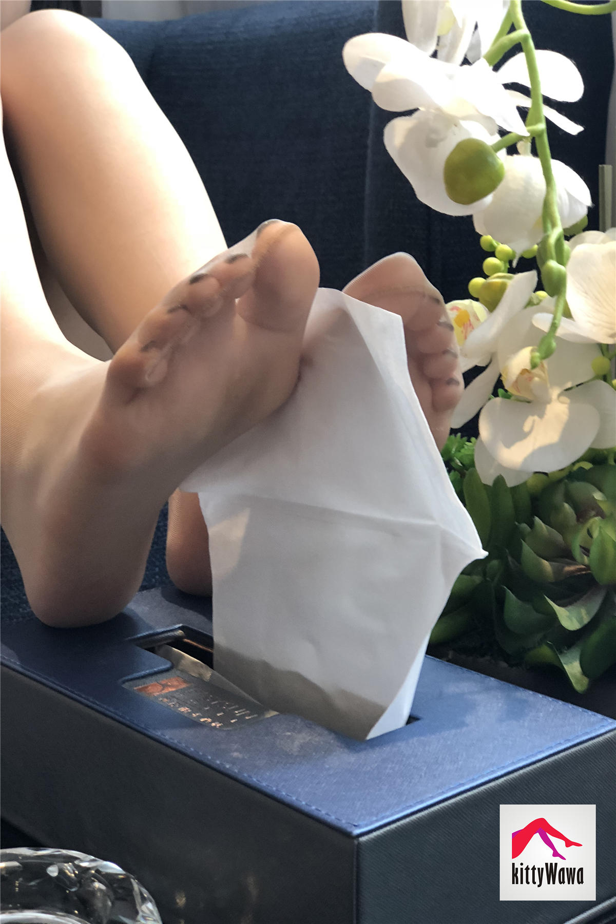 袜小喵 KT012 两种镜头的哇小喵 [99P+19M]_第5集