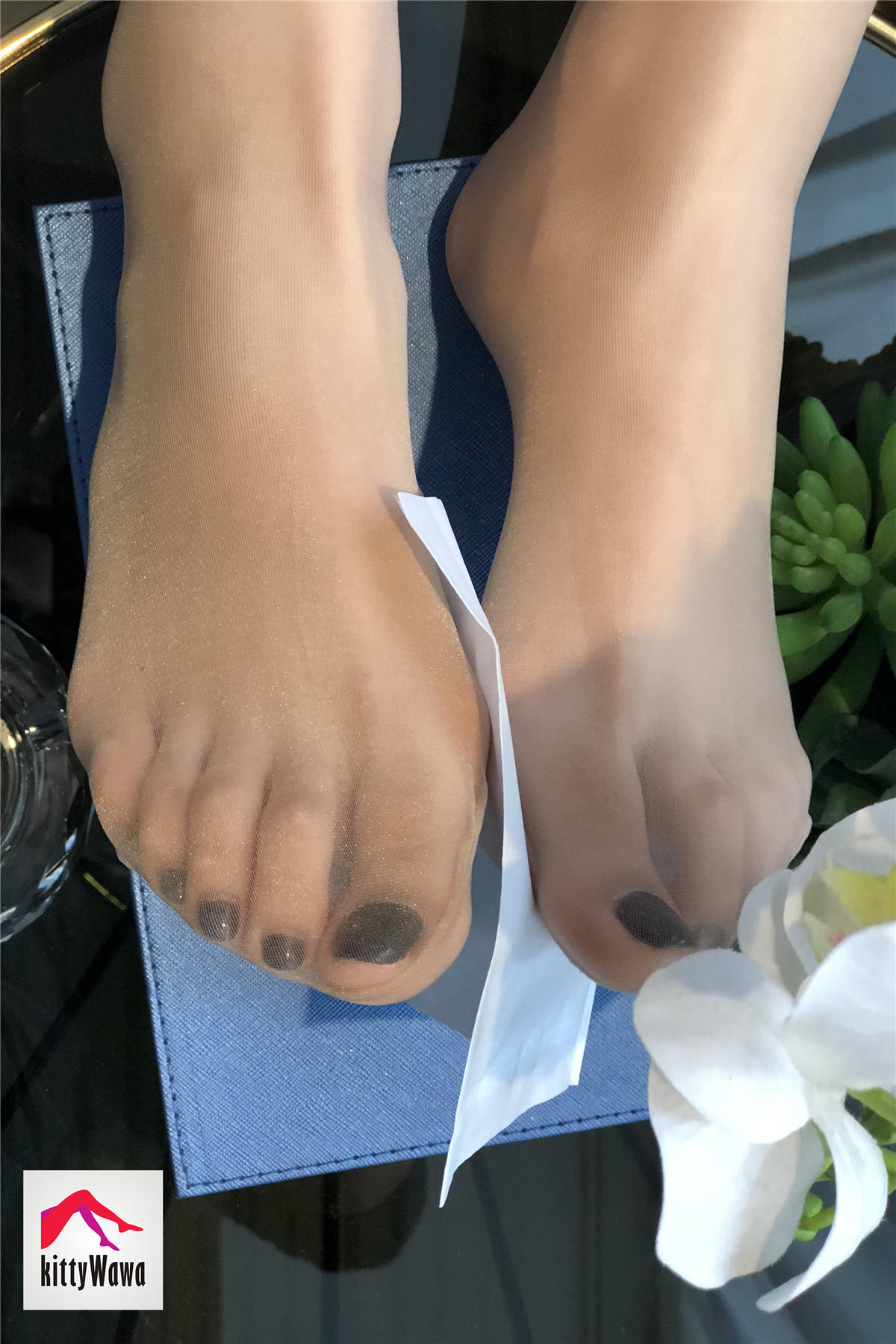 袜小喵 KT012 两种镜头的哇小喵 [99P+19M]_第5集