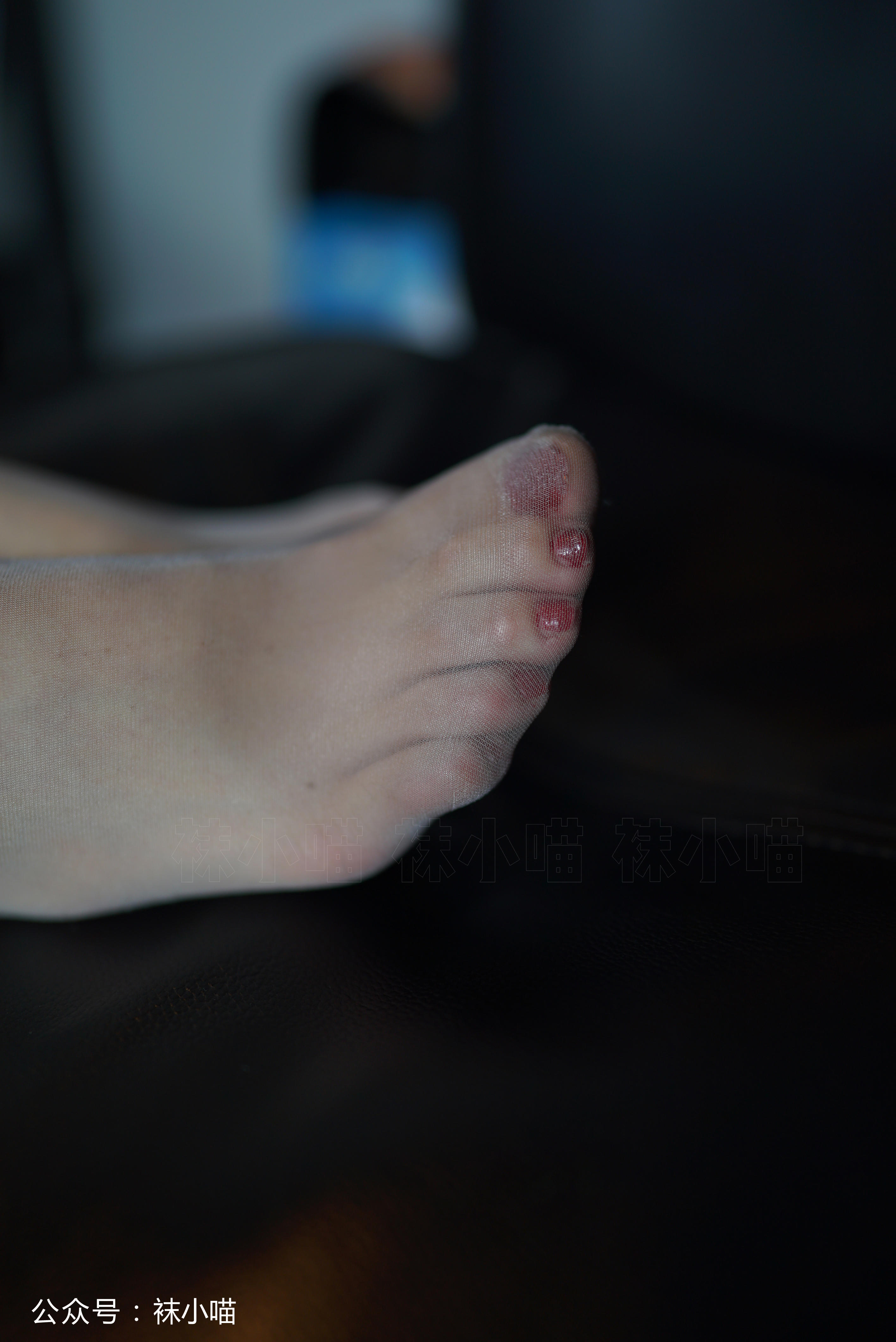 袜小喵 KT122 微醺的酒红色 [59P+47M]_第2集