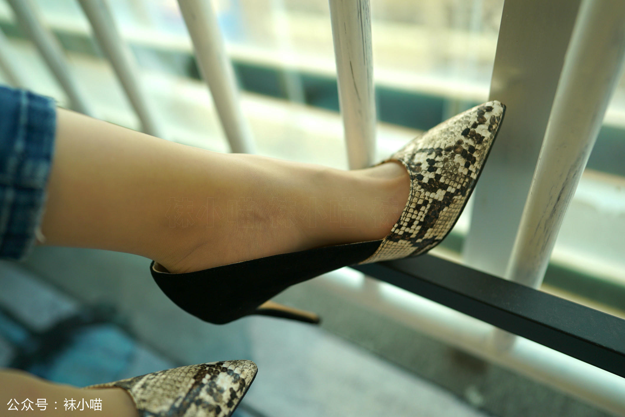 袜小喵 KT131 天冷穿裤子 [59P+56M]_第3集