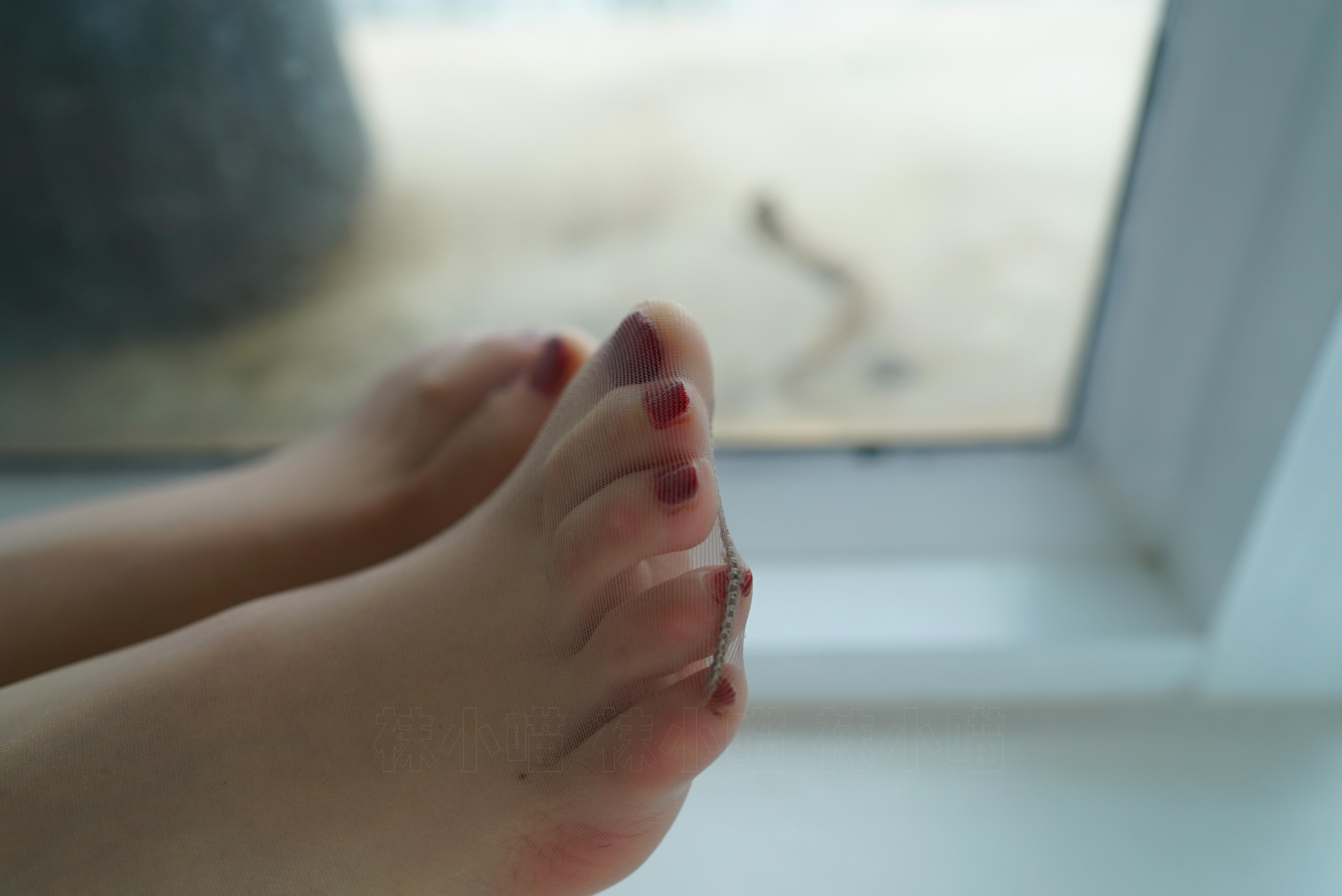 袜小喵 KT141 皮裤小野猫 [60P+29M]_第3集