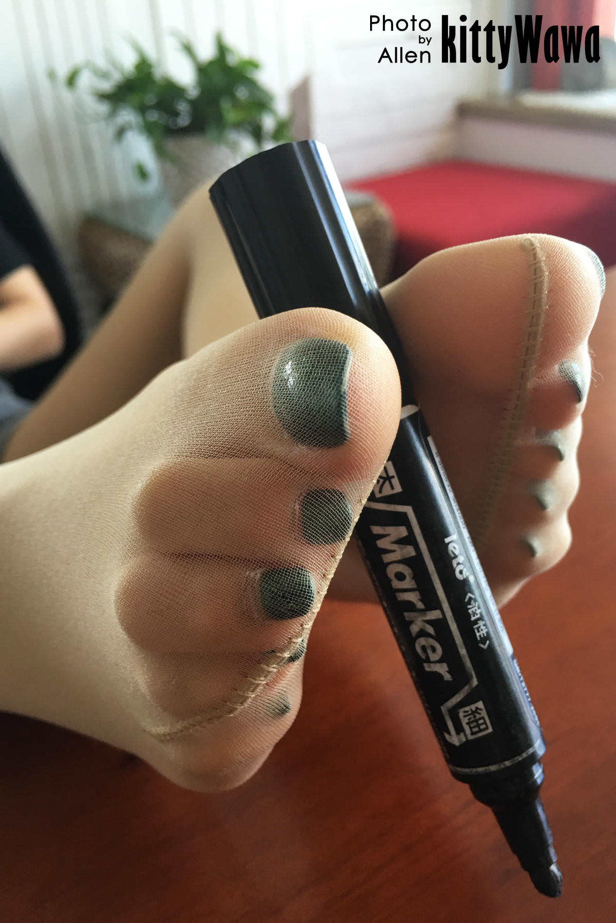 袜小喵 KT002 玩物 马克笔 [99P+18M]_第5集