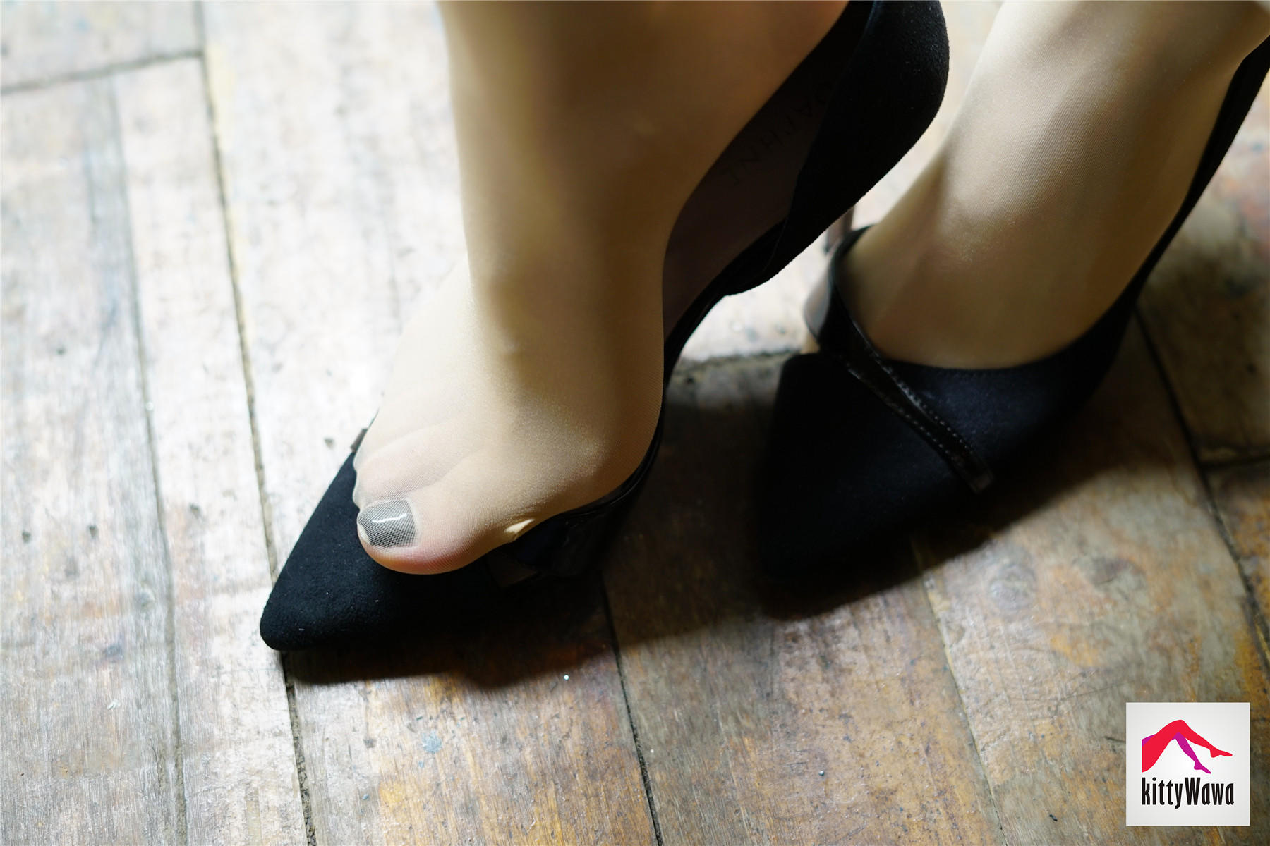 袜小喵 KT022 女王和喵 [99P+25M]_第1集