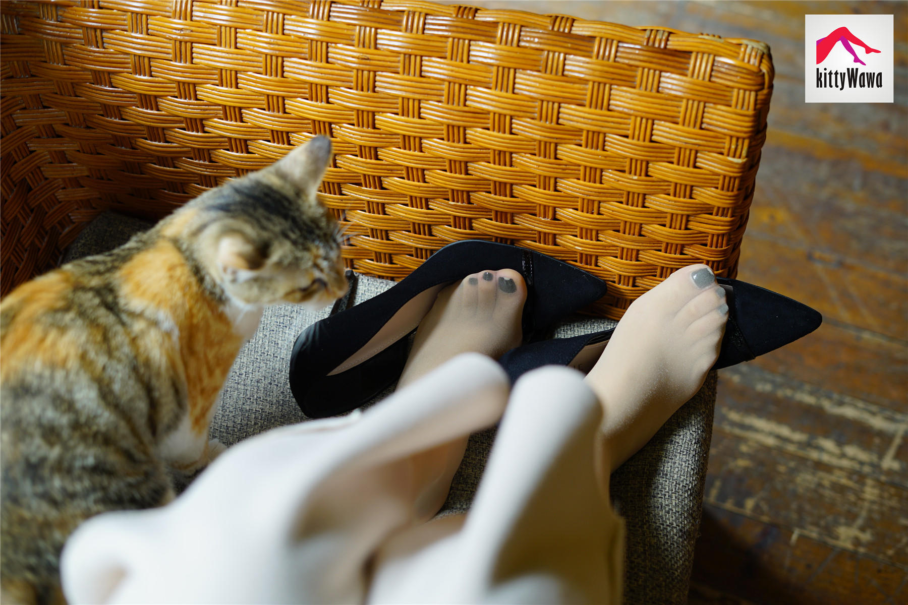 袜小喵 KT022 女王和喵 [99P+25M]_第2集