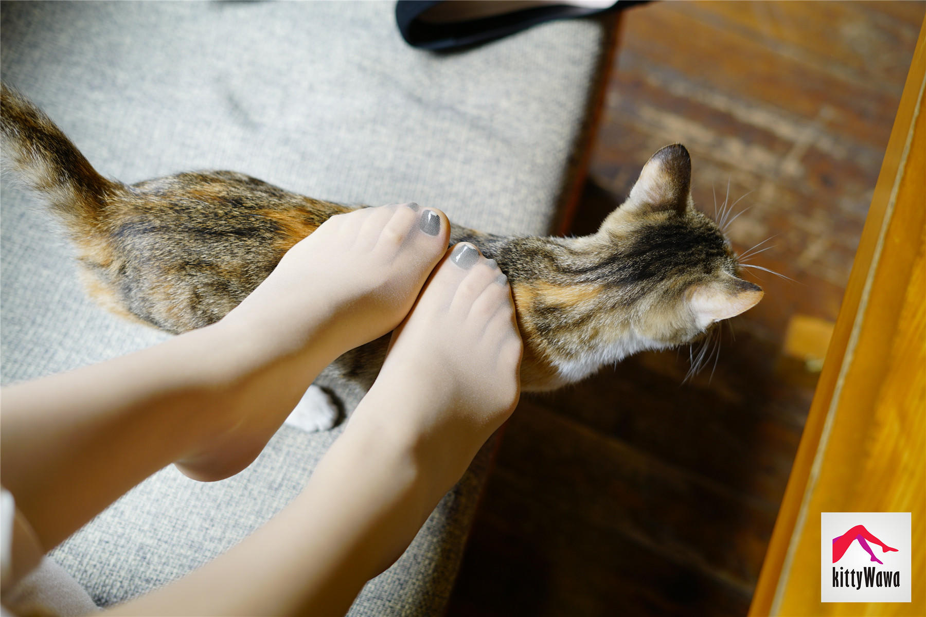 袜小喵 KT022 女王和喵 [99P+25M]_第2集