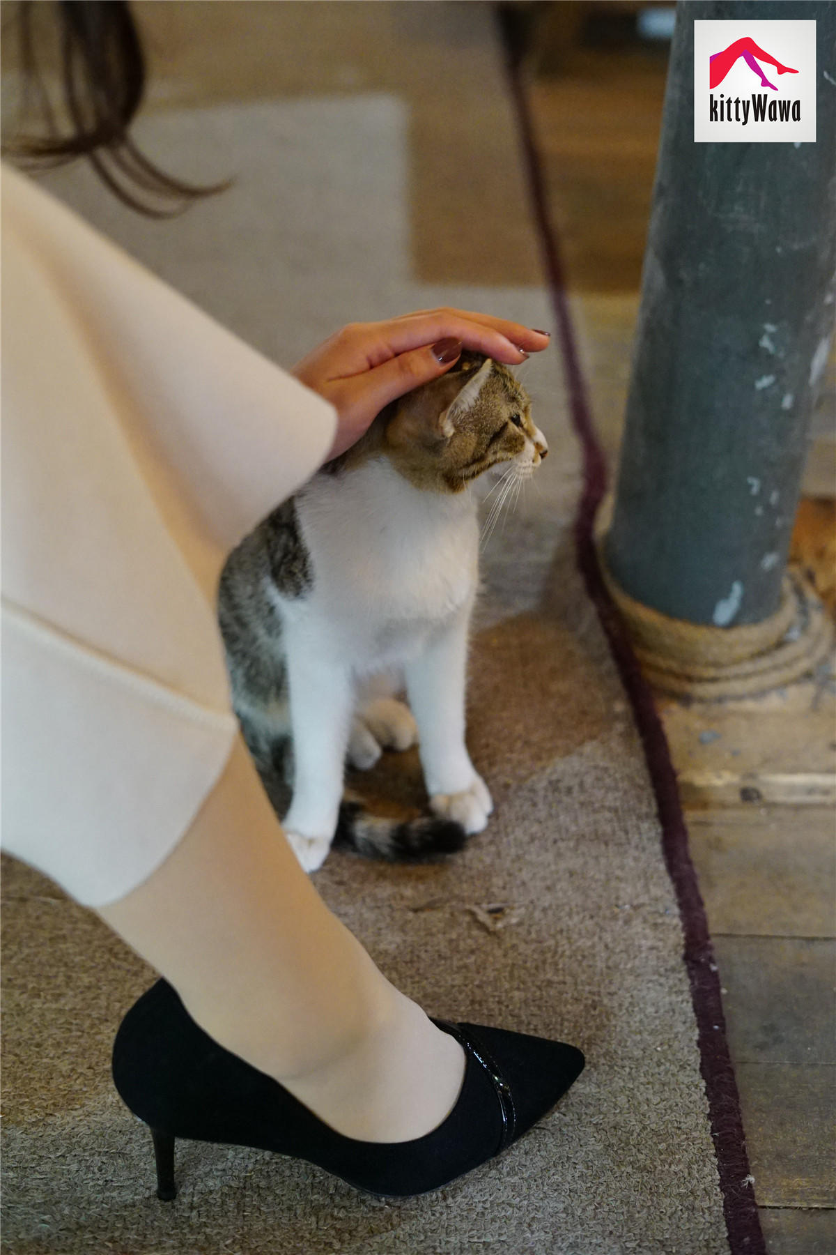 袜小喵 KT022 女王和喵 [99P+25M]_第3集