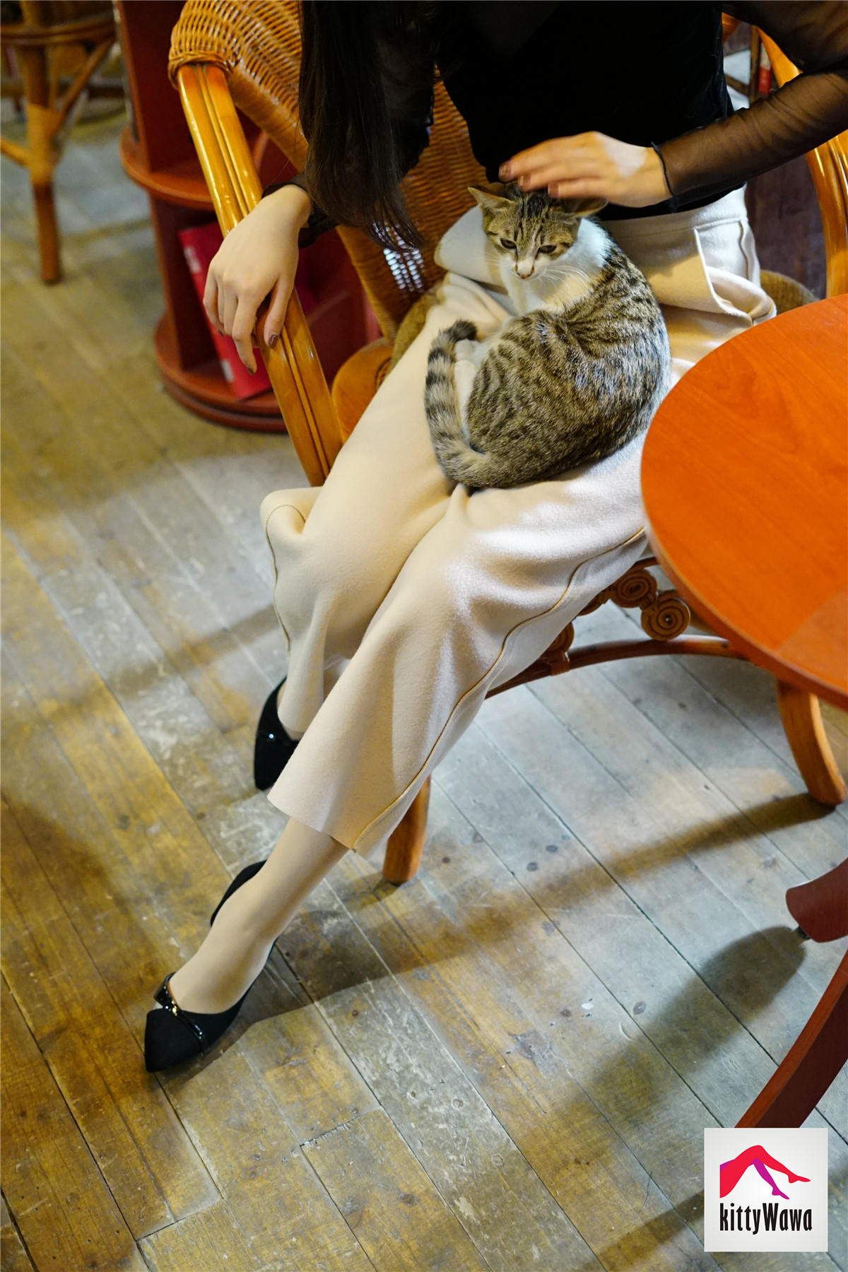 袜小喵 KT022 女王和喵 [99P+25M]_第3集