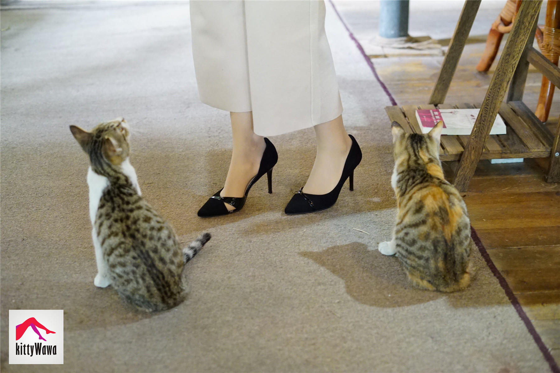 袜小喵 KT022 女王和喵 [99P+25M]_第3集