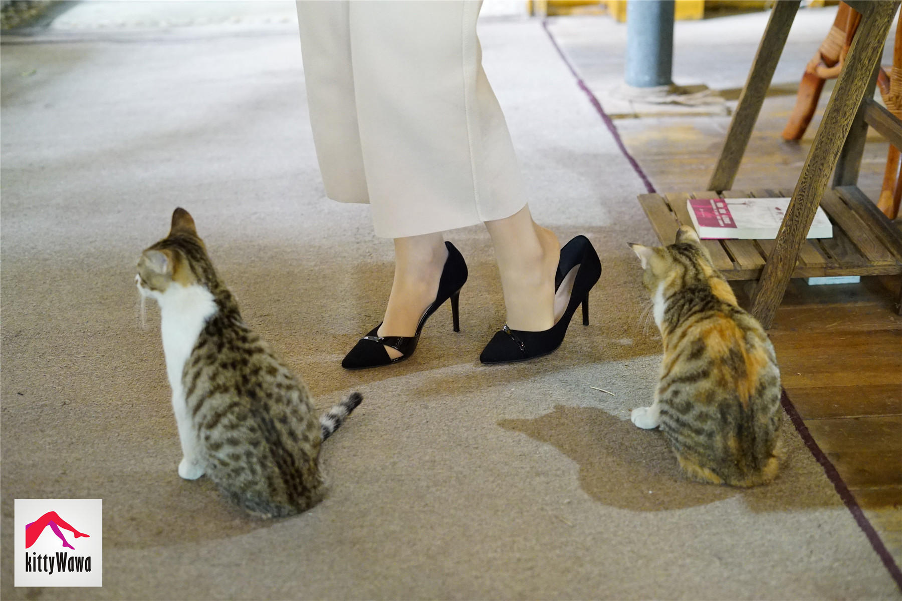 袜小喵 KT022 女王和喵 [99P+25M]_第3集