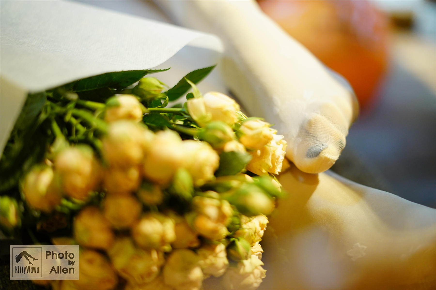 袜小喵 KT025 被花耽误的一期 [99P+23M]_第3集