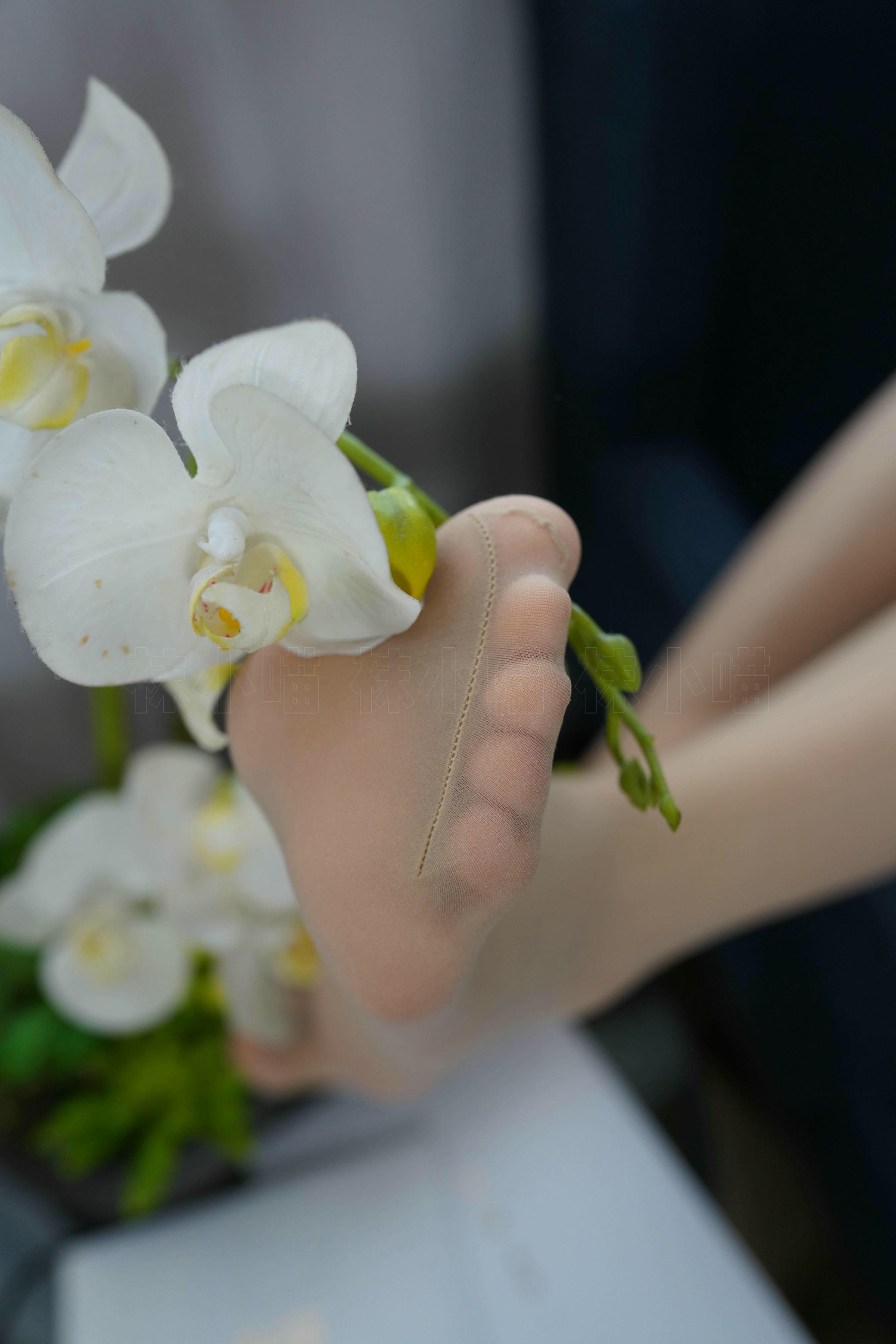 袜小喵 KT252 浅蓝连衣裙 [88P+116M]_第5集