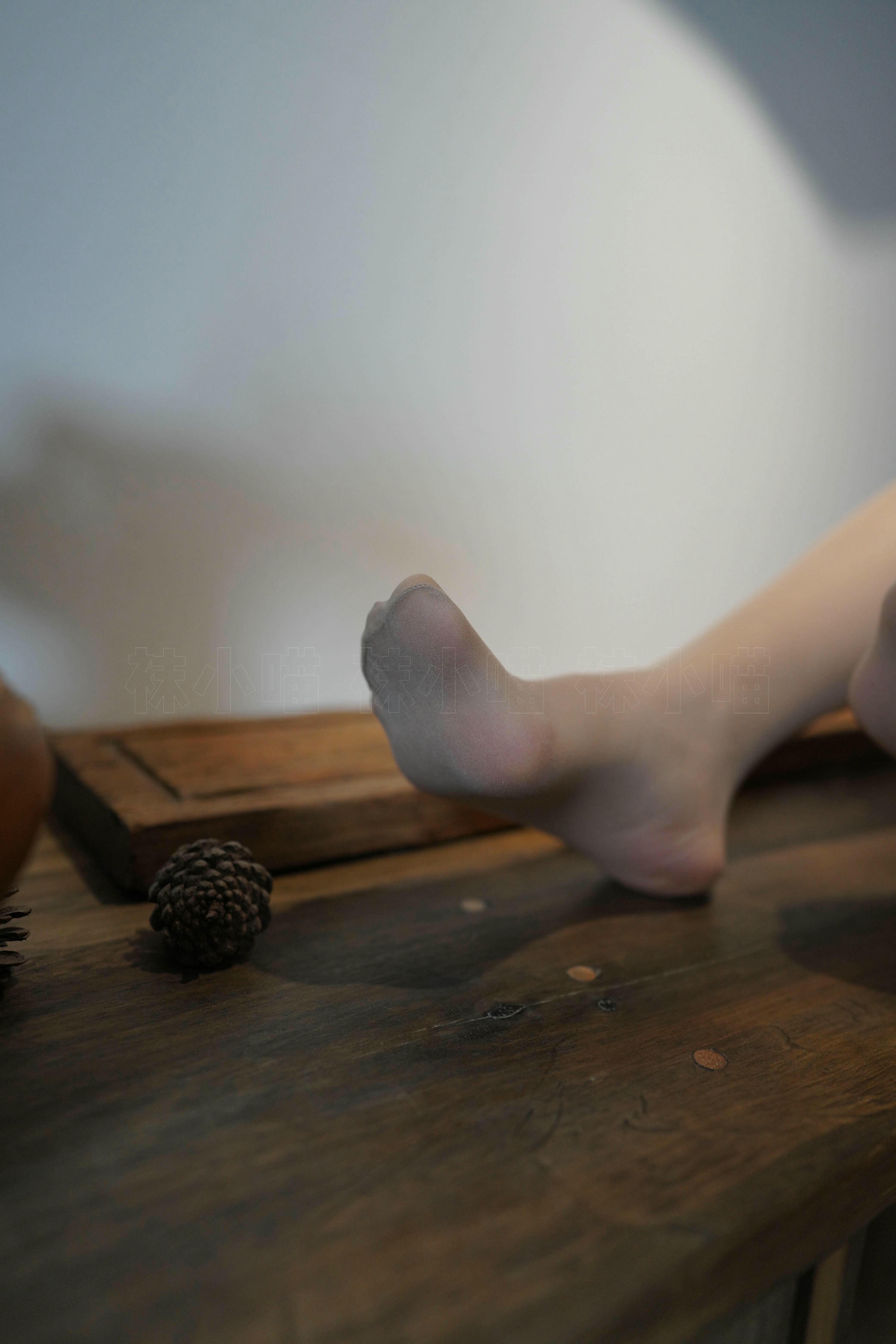 袜小喵 KT262 花仙子装 [89P+119M]_第5集