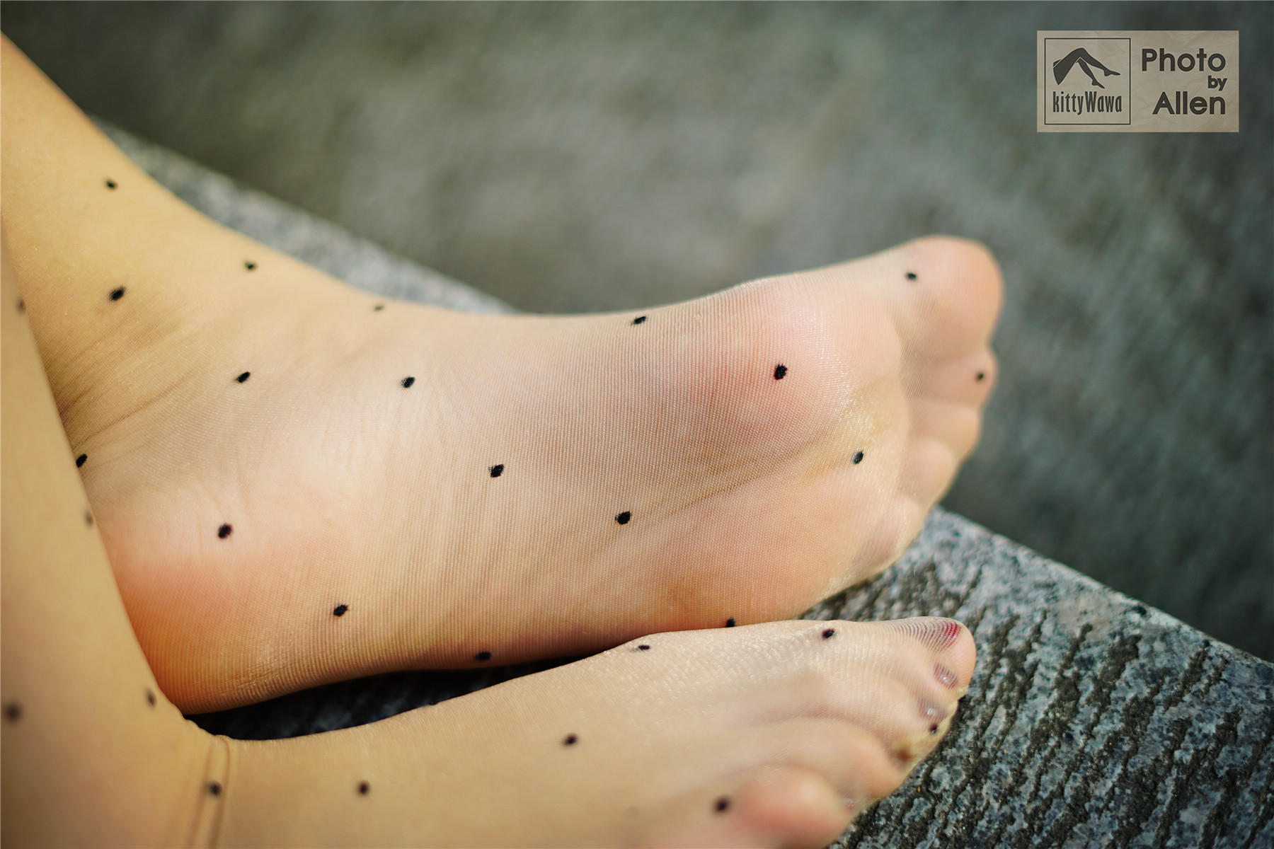 袜小喵 KT027 蚂蚁上树 [58P+16M]_第2集