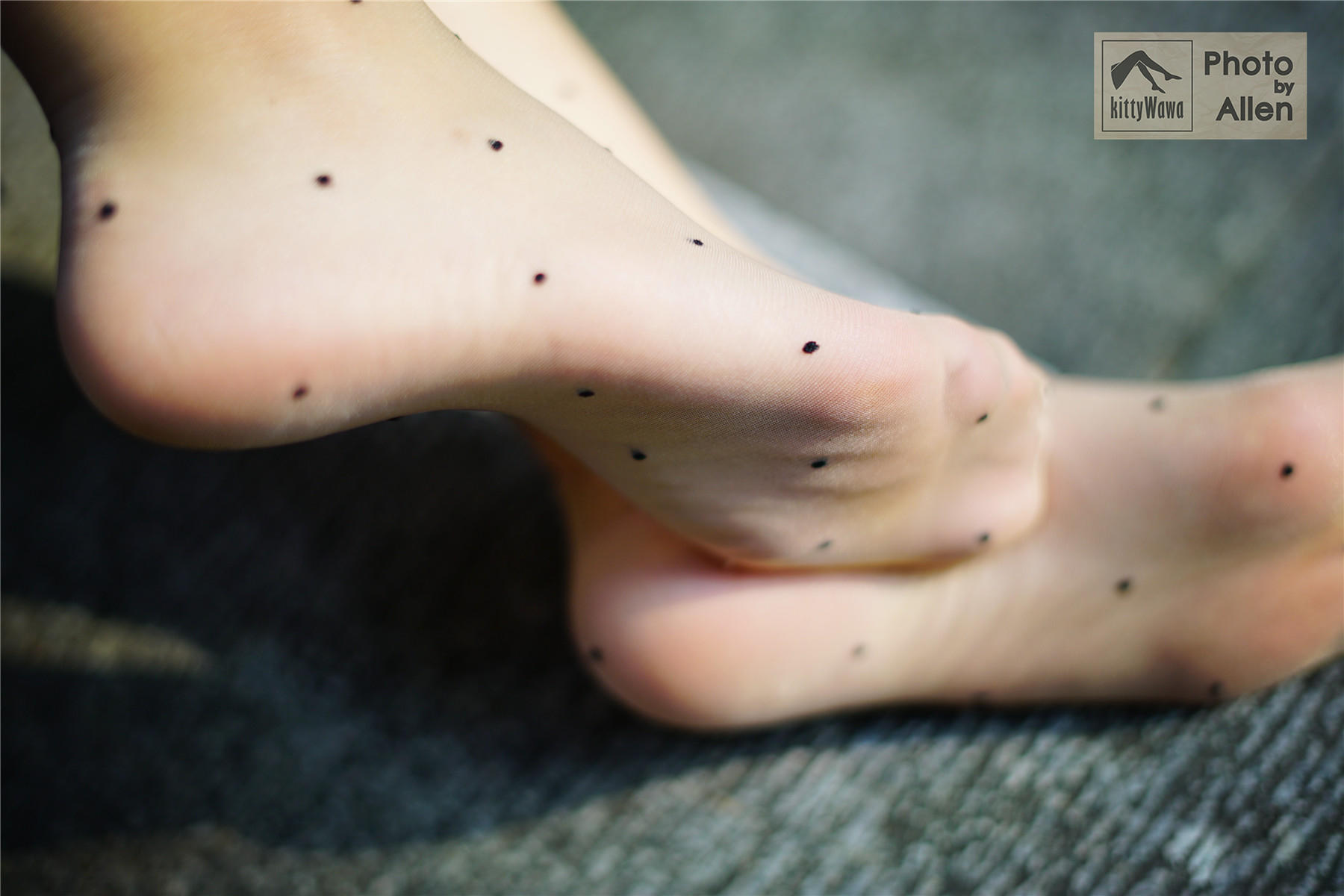 袜小喵 KT027 蚂蚁上树 [58P+16M]_第2集