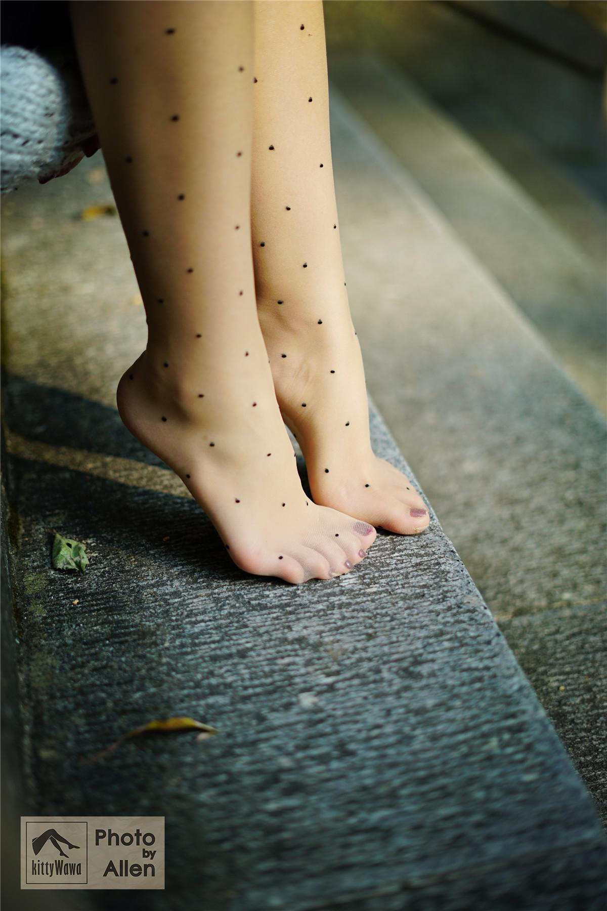 袜小喵 KT027 蚂蚁上树 [58P+16M]_第2集