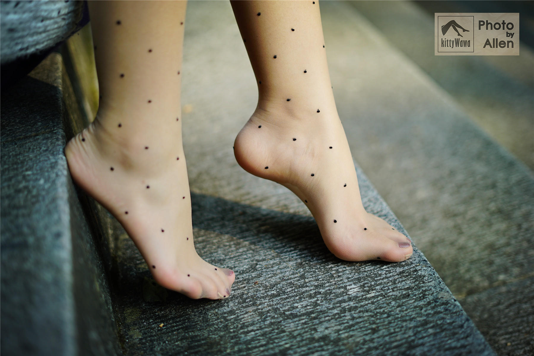 袜小喵 KT027 蚂蚁上树 [58P+16M]_第2集