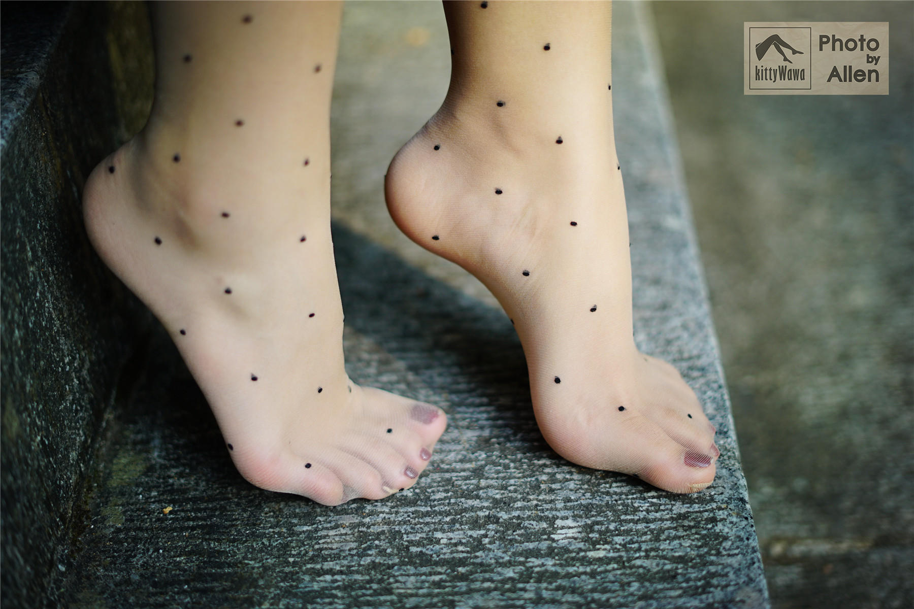 袜小喵 KT027 蚂蚁上树 [58P+16M]_第2集