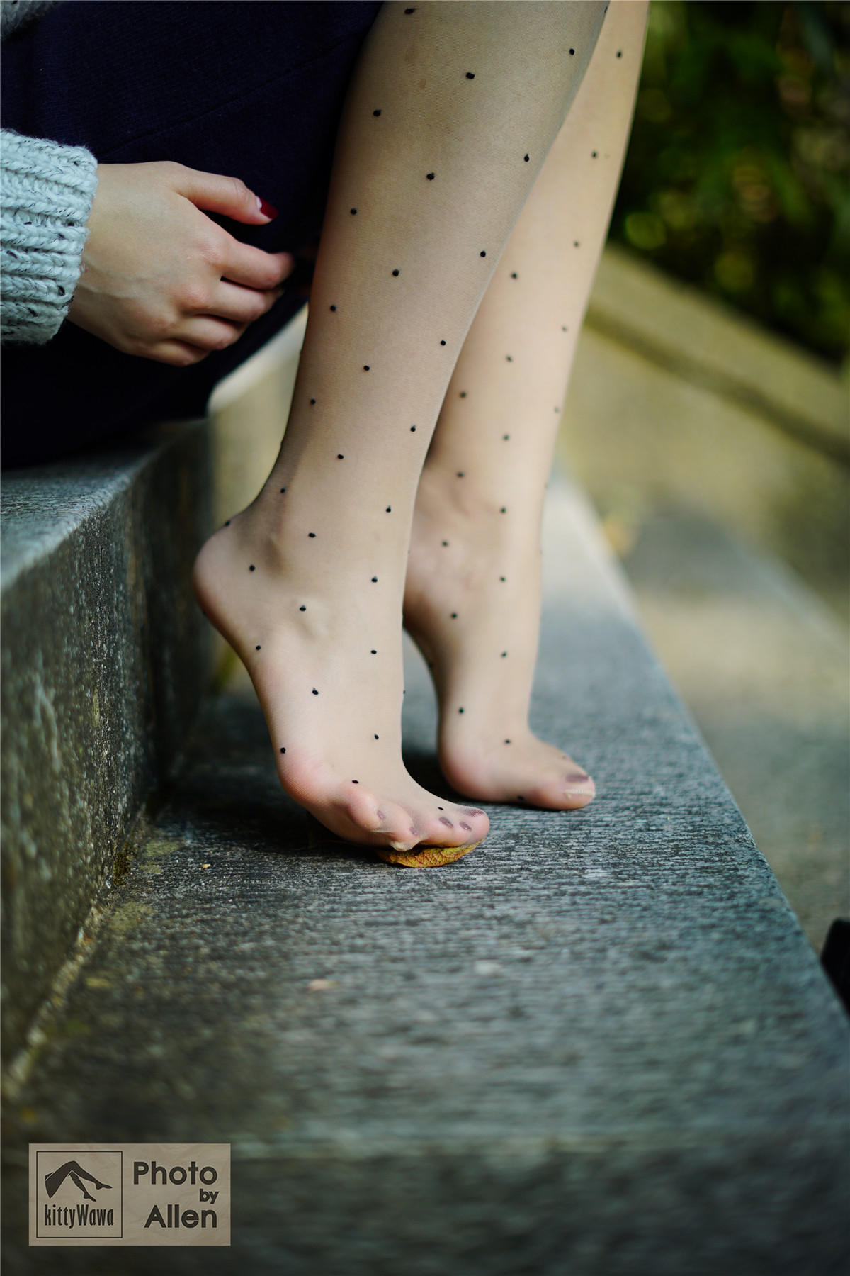 袜小喵 KT027 蚂蚁上树 [58P+16M]_第2集