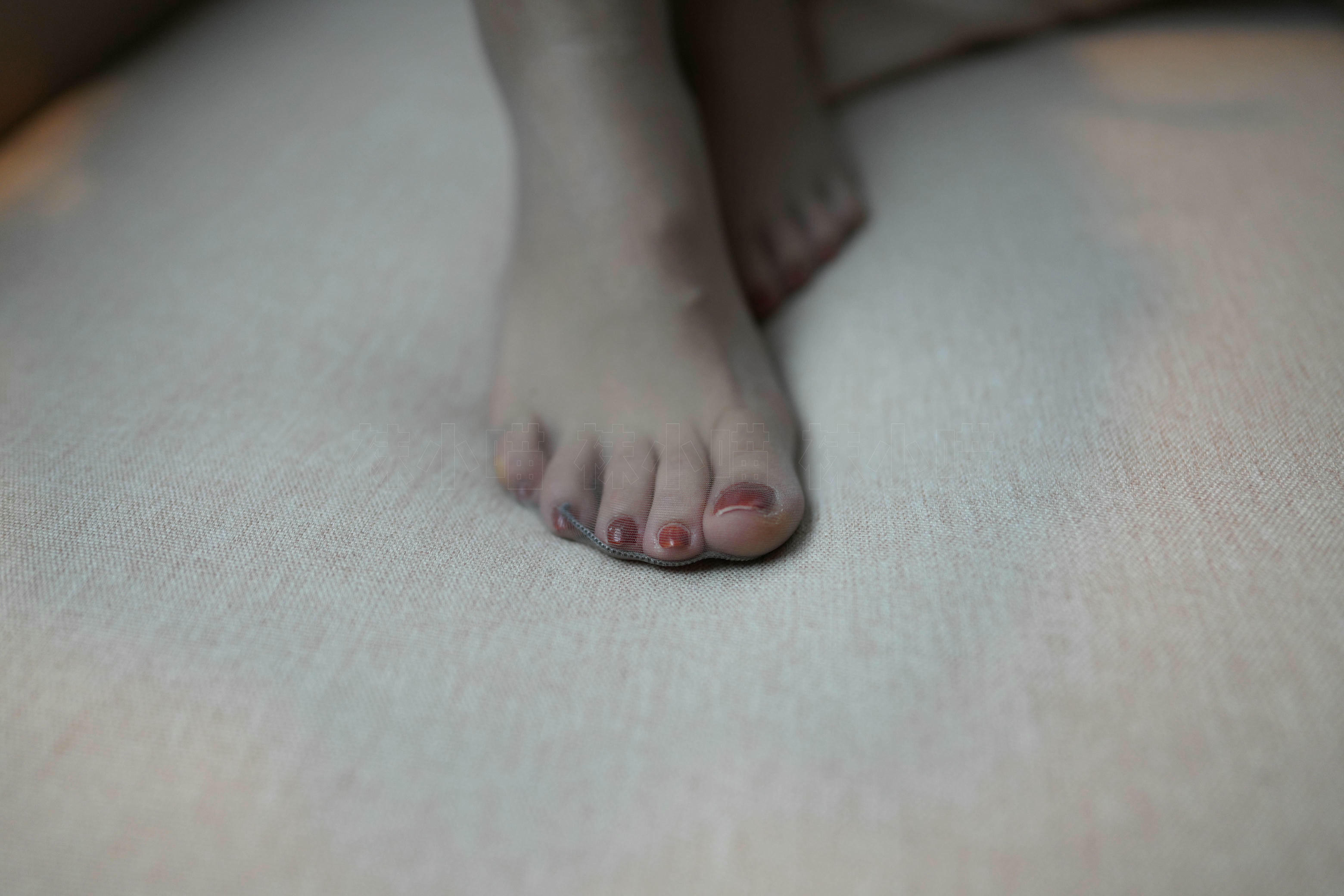 袜小喵 KT294 仔细看[81P／122MB]_第4集