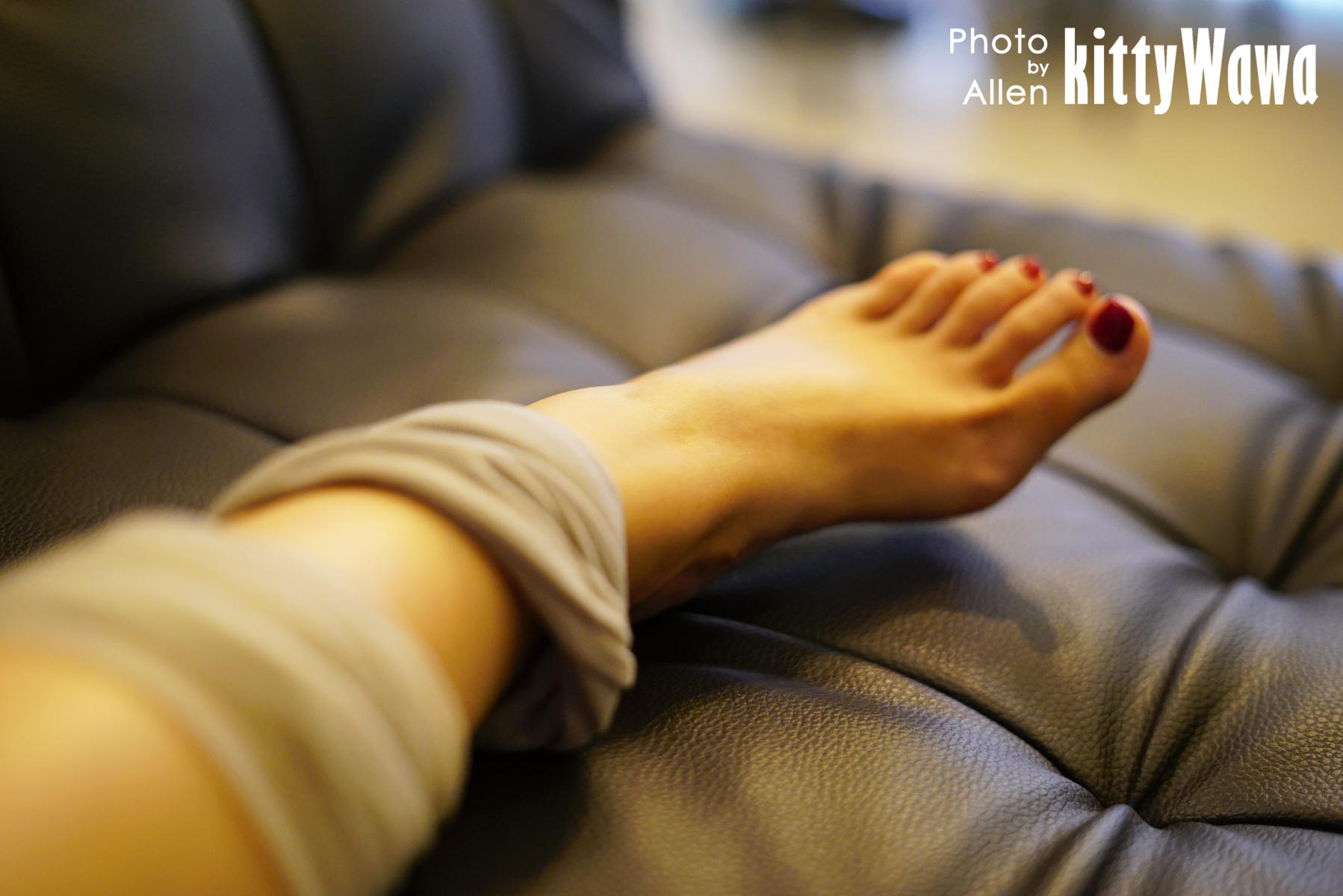 袜小喵 KT003 小灰灰 [99P+17M]_第4集