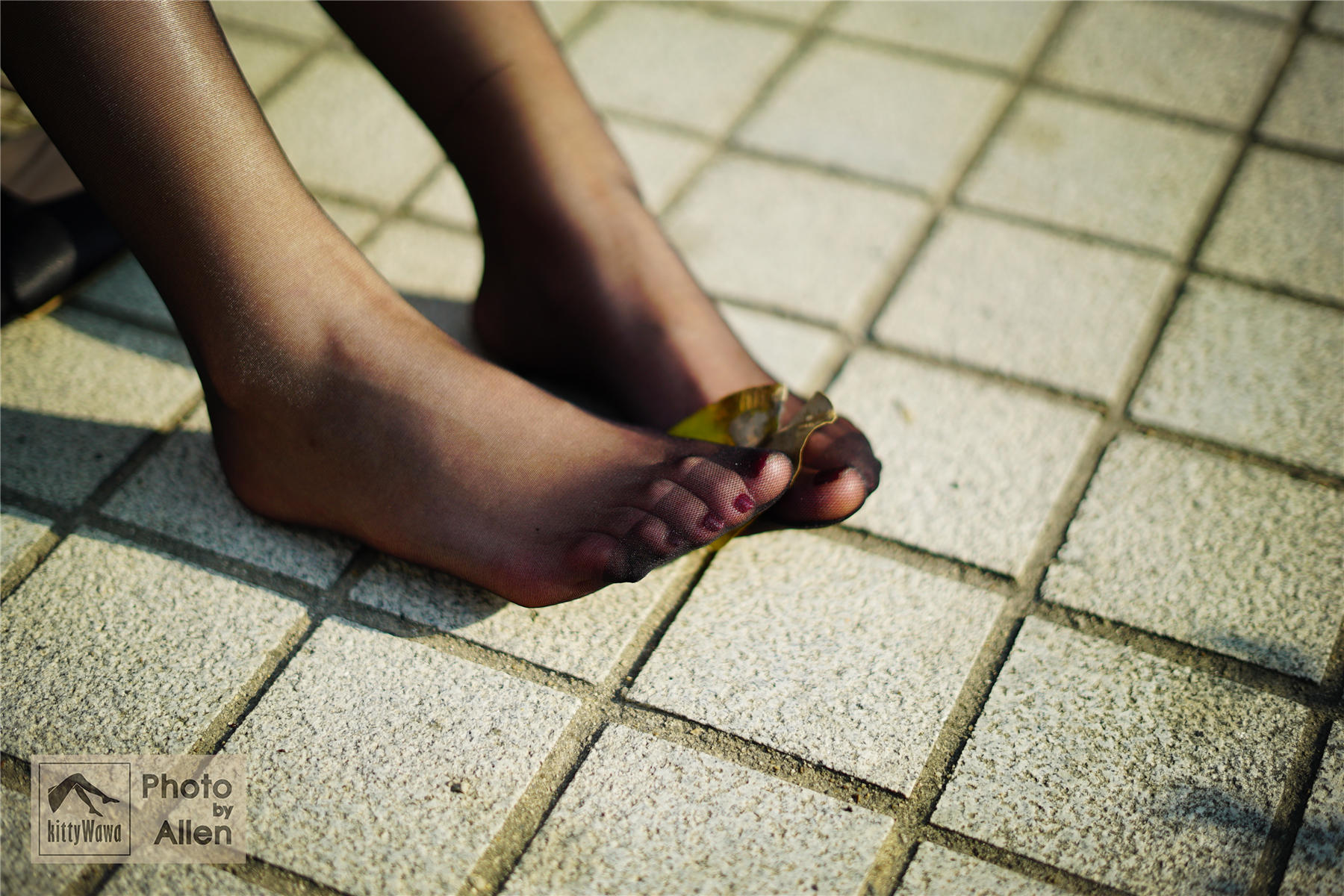 袜小喵 KT030 冬日里的一米阳光 [59P+19M]_第2集