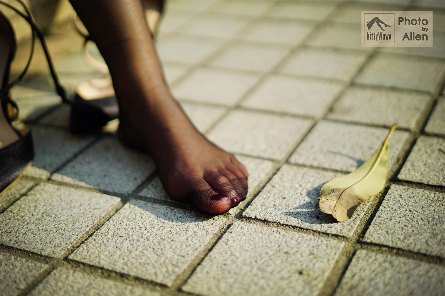 袜小喵 KT030 冬日里的一米阳光 [59P+19M]_第2集