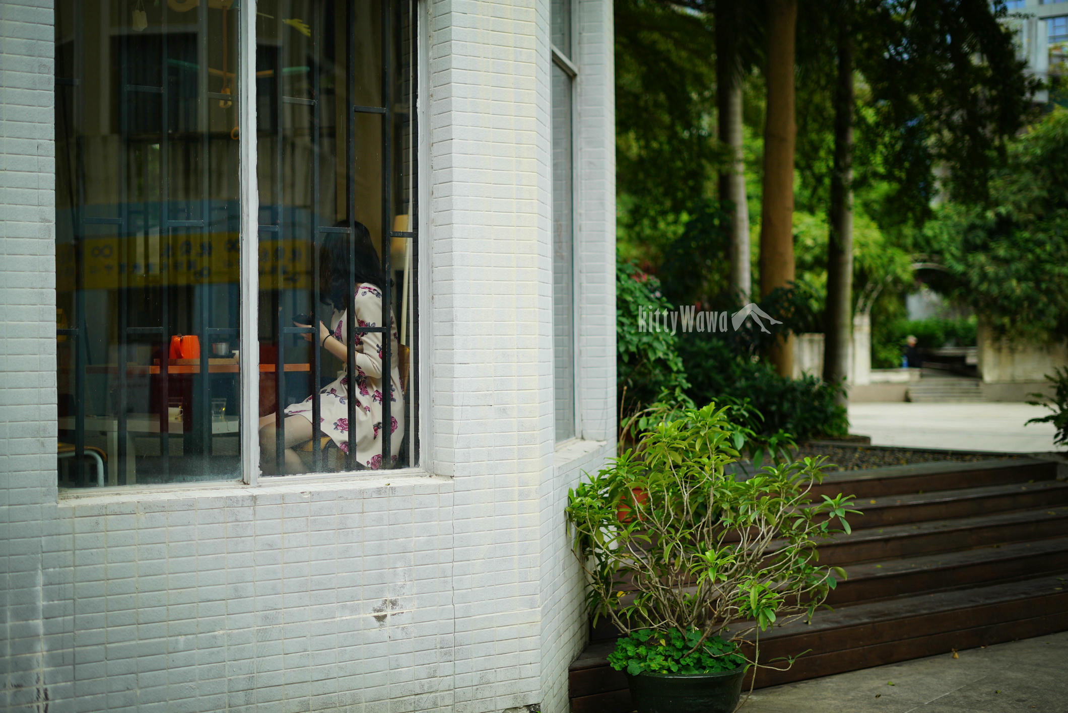 袜小喵 KT035 白玫瑰&红玫瑰 [59P+59M]_第1集