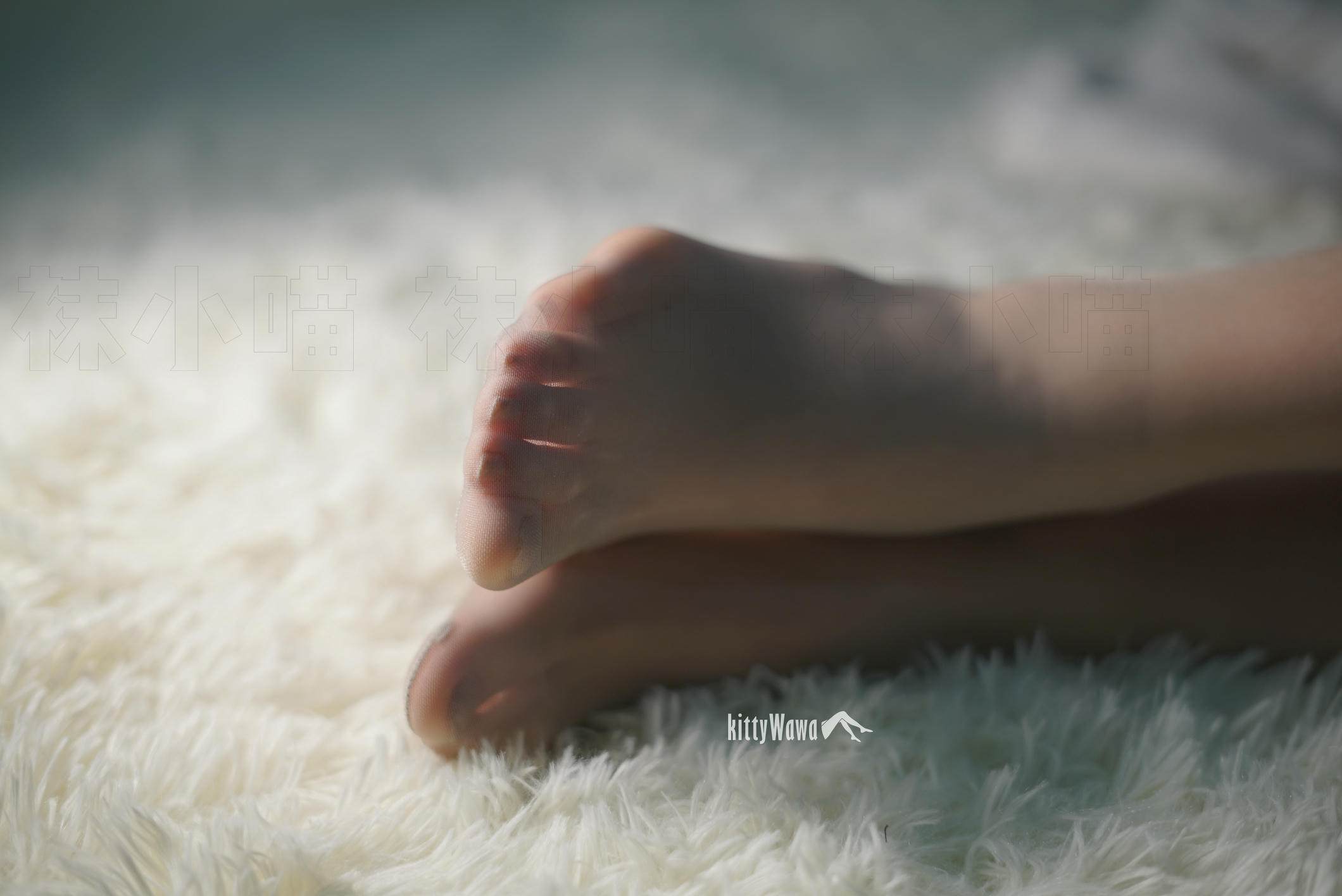 袜小喵 KT050 异域波斯猫 [60P+297M]_第3集