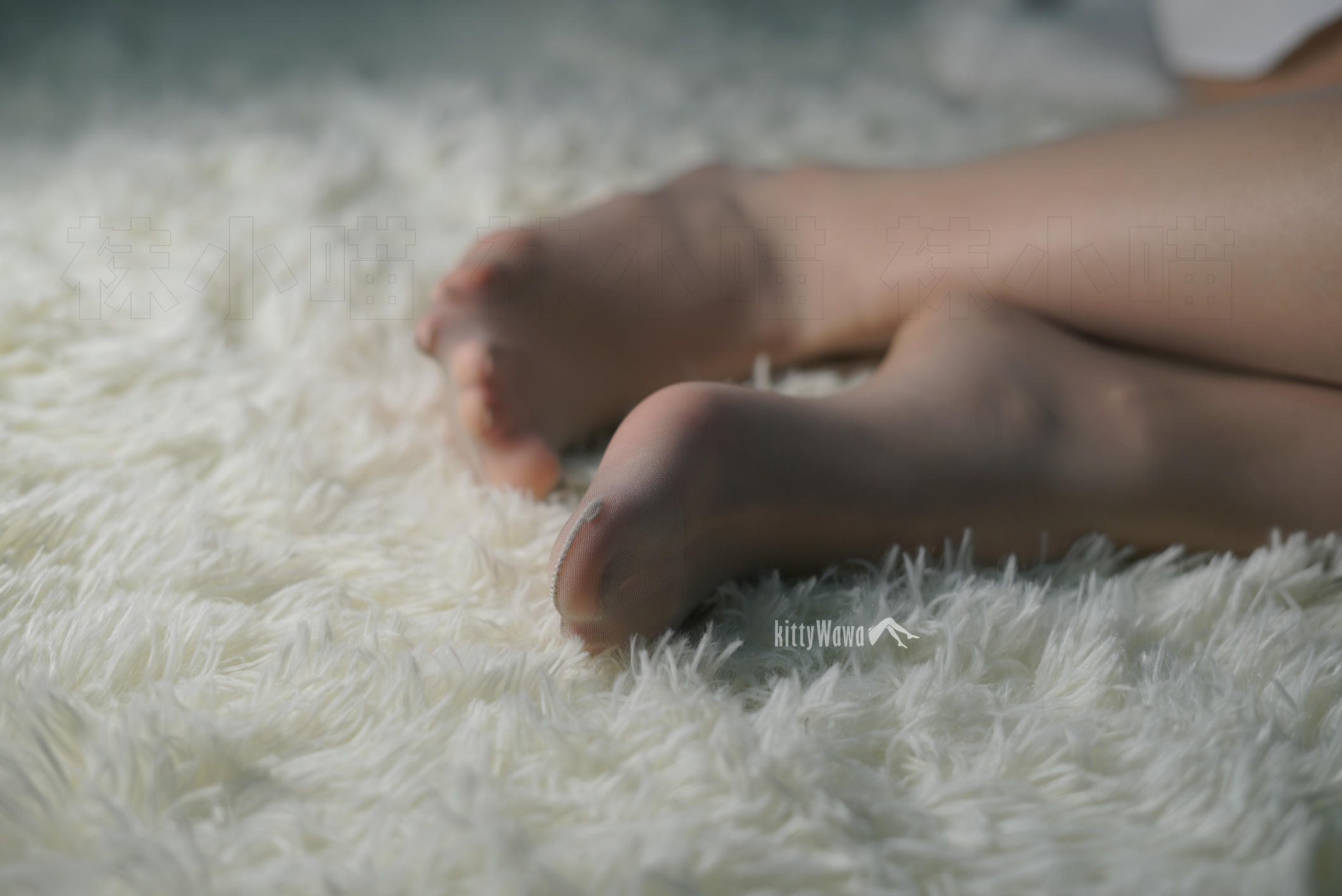 袜小喵 KT050 异域波斯猫 [60P+297M]_第3集