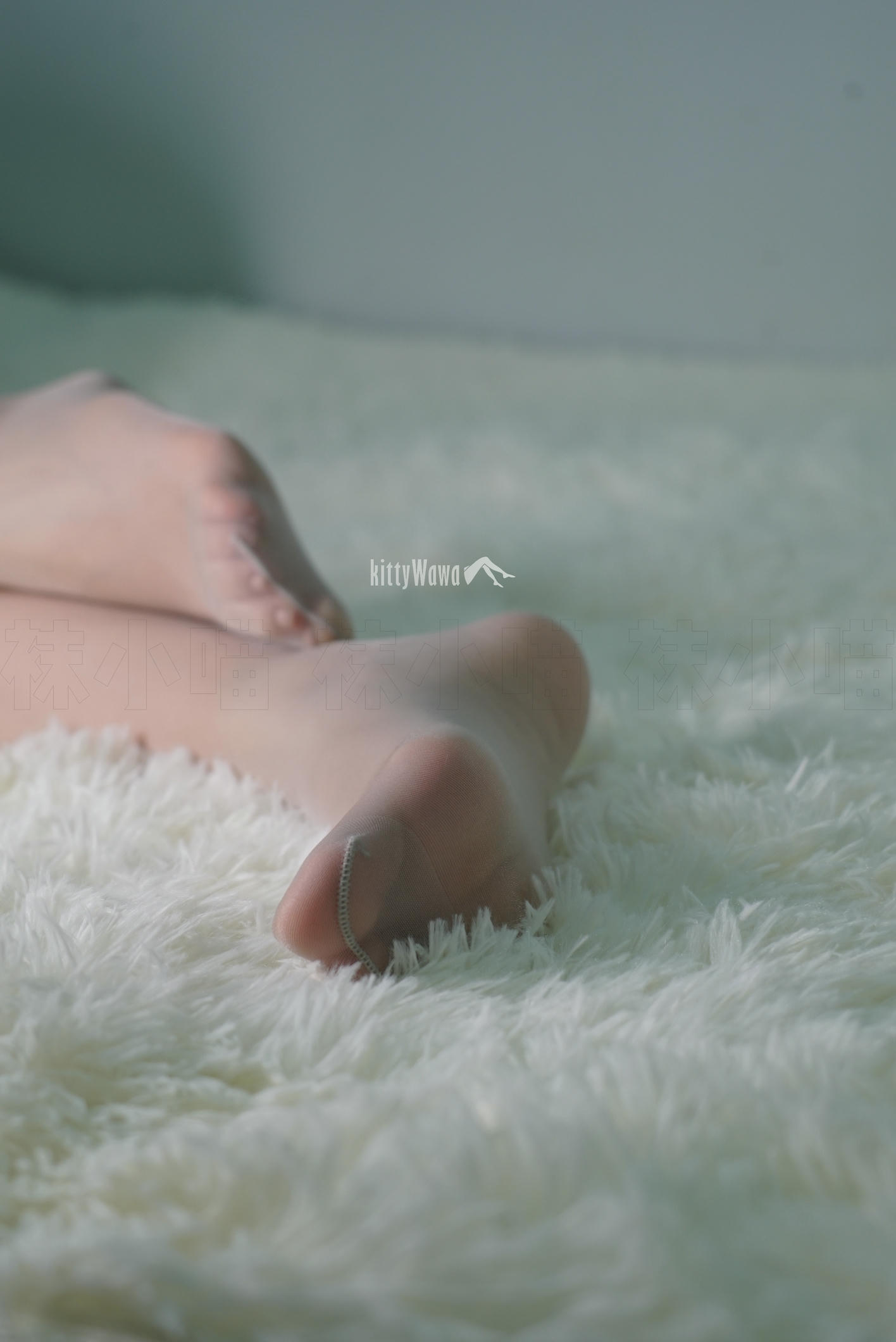 袜小喵 KT050 异域波斯猫 [60P+297M]_第3集