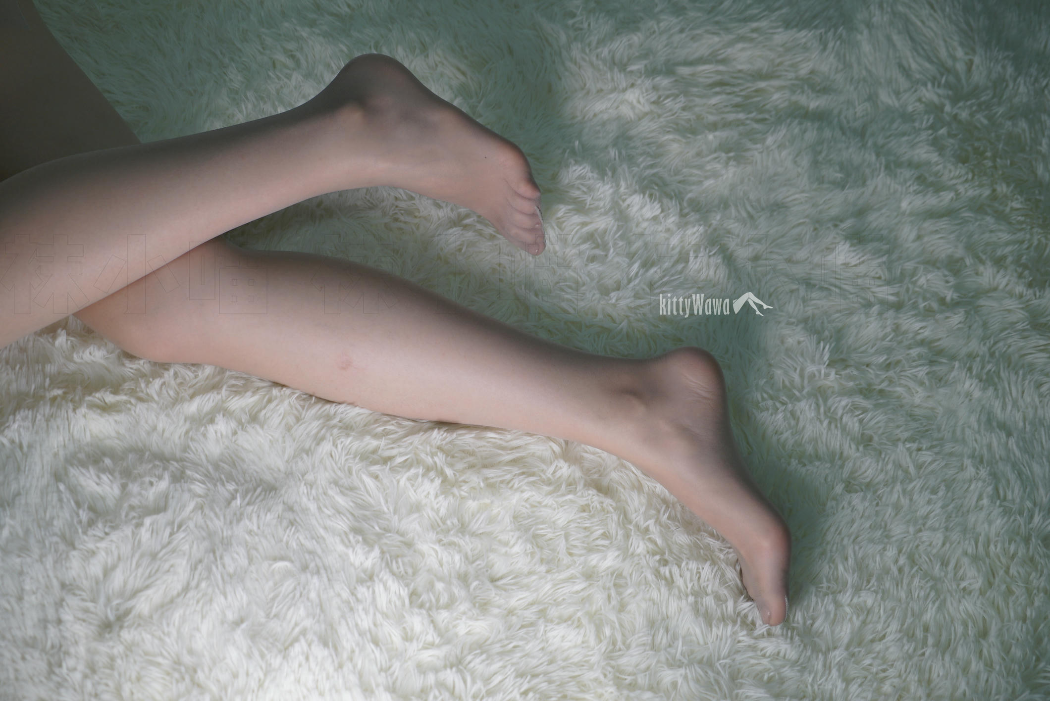 袜小喵 KT050 异域波斯猫 [60P+297M]_第3集