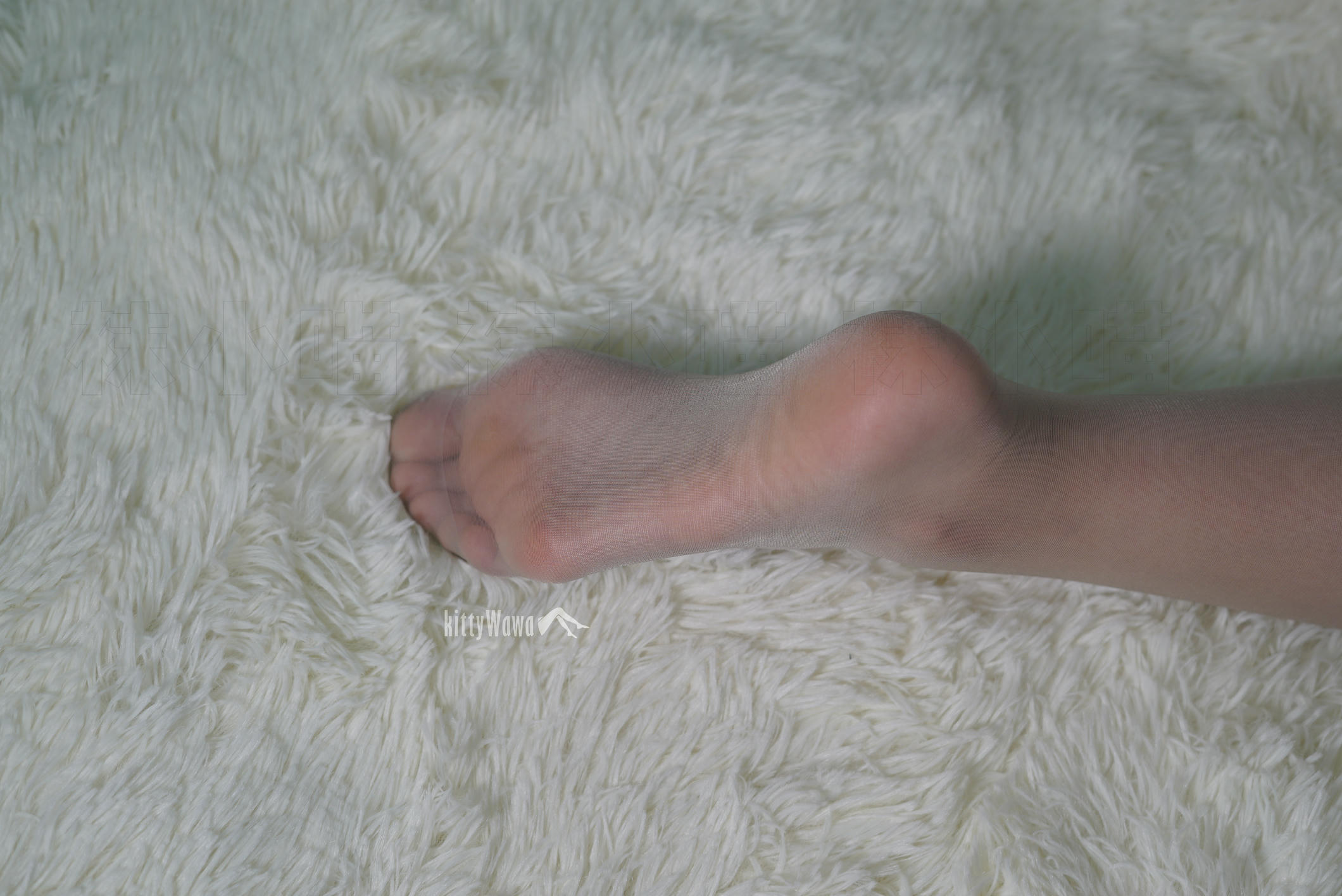 袜小喵 KT050 异域波斯猫 [60P+297M]_第3集