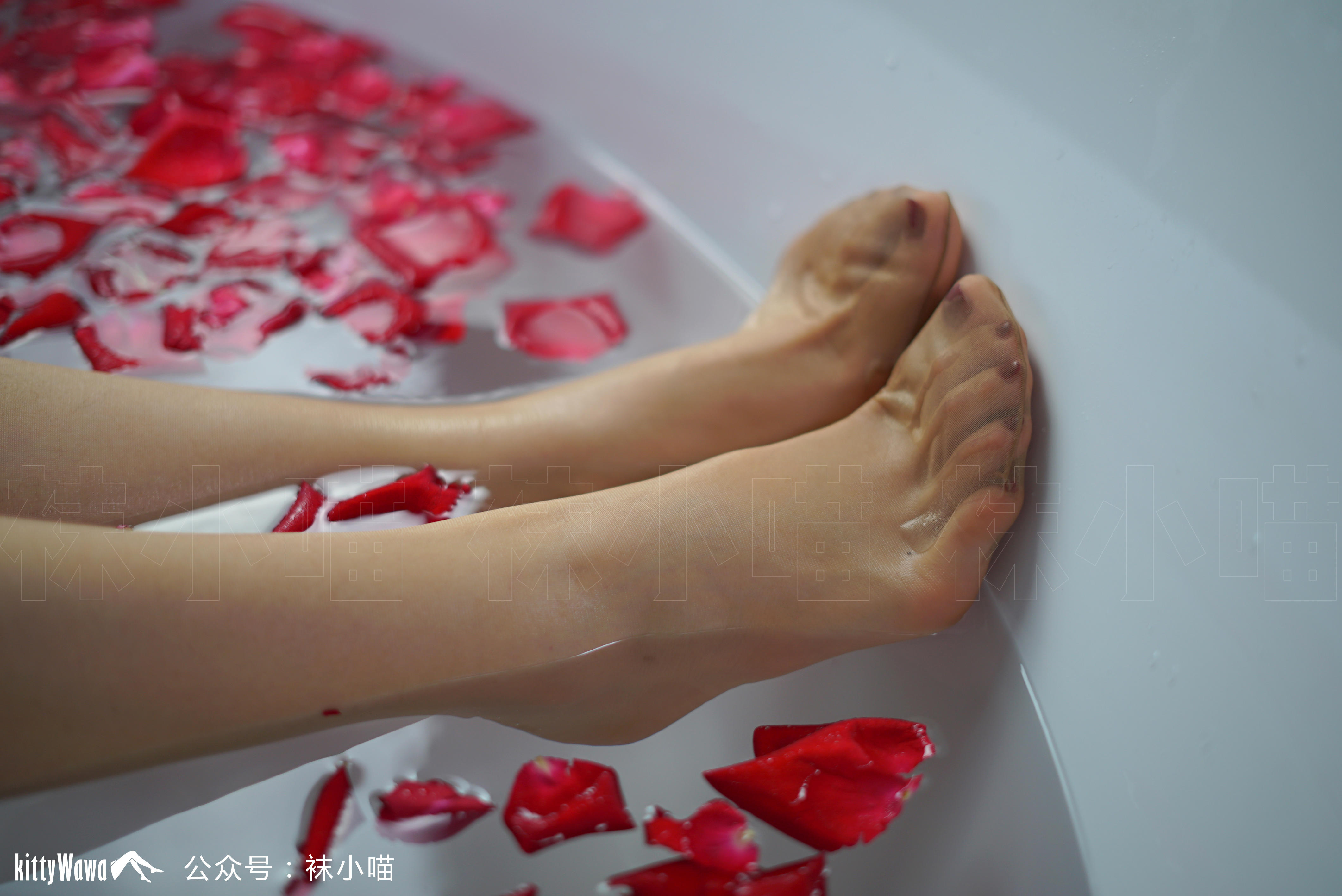 袜小喵 KT066 复古丝VS白衬衫 [61P+40M]_第3集