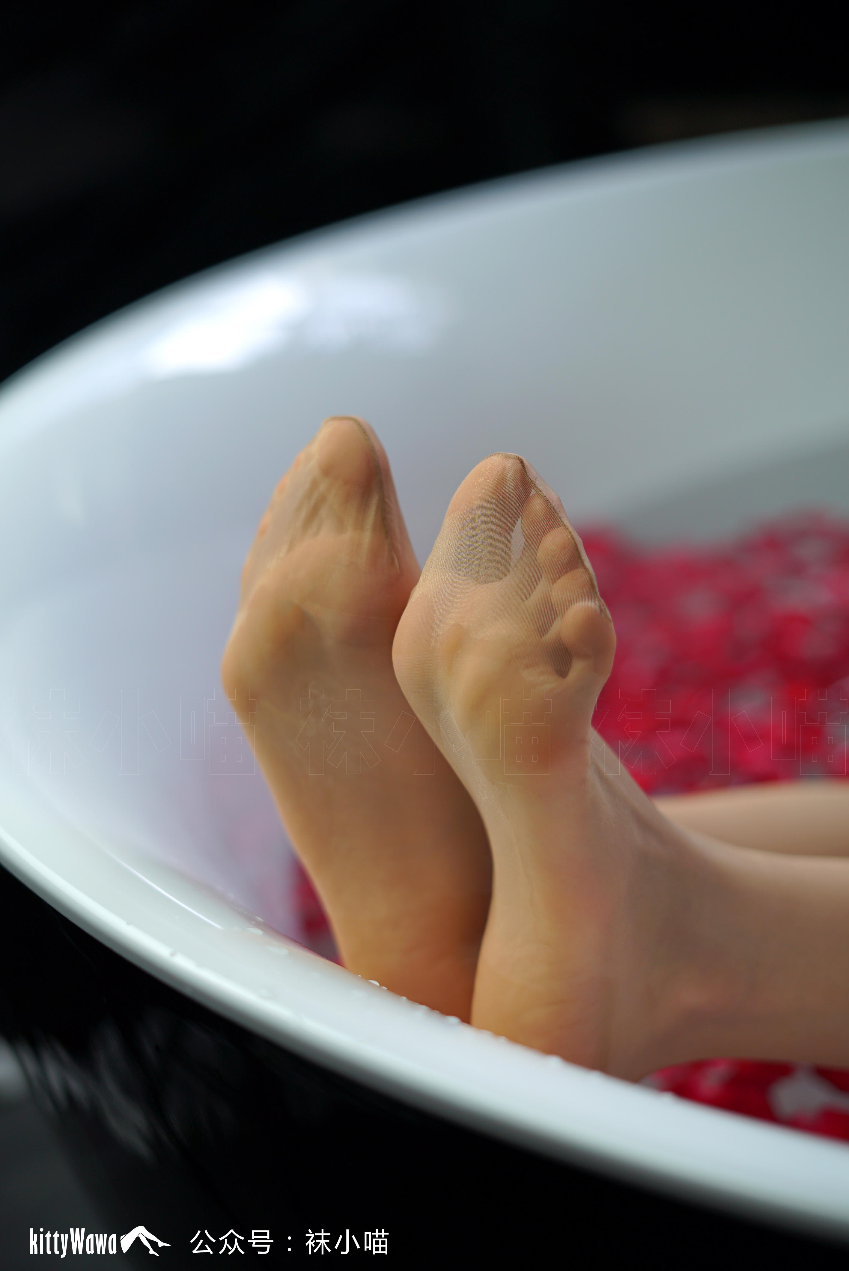 袜小喵 KT066 复古丝VS白衬衫 [61P+40M]_第3集