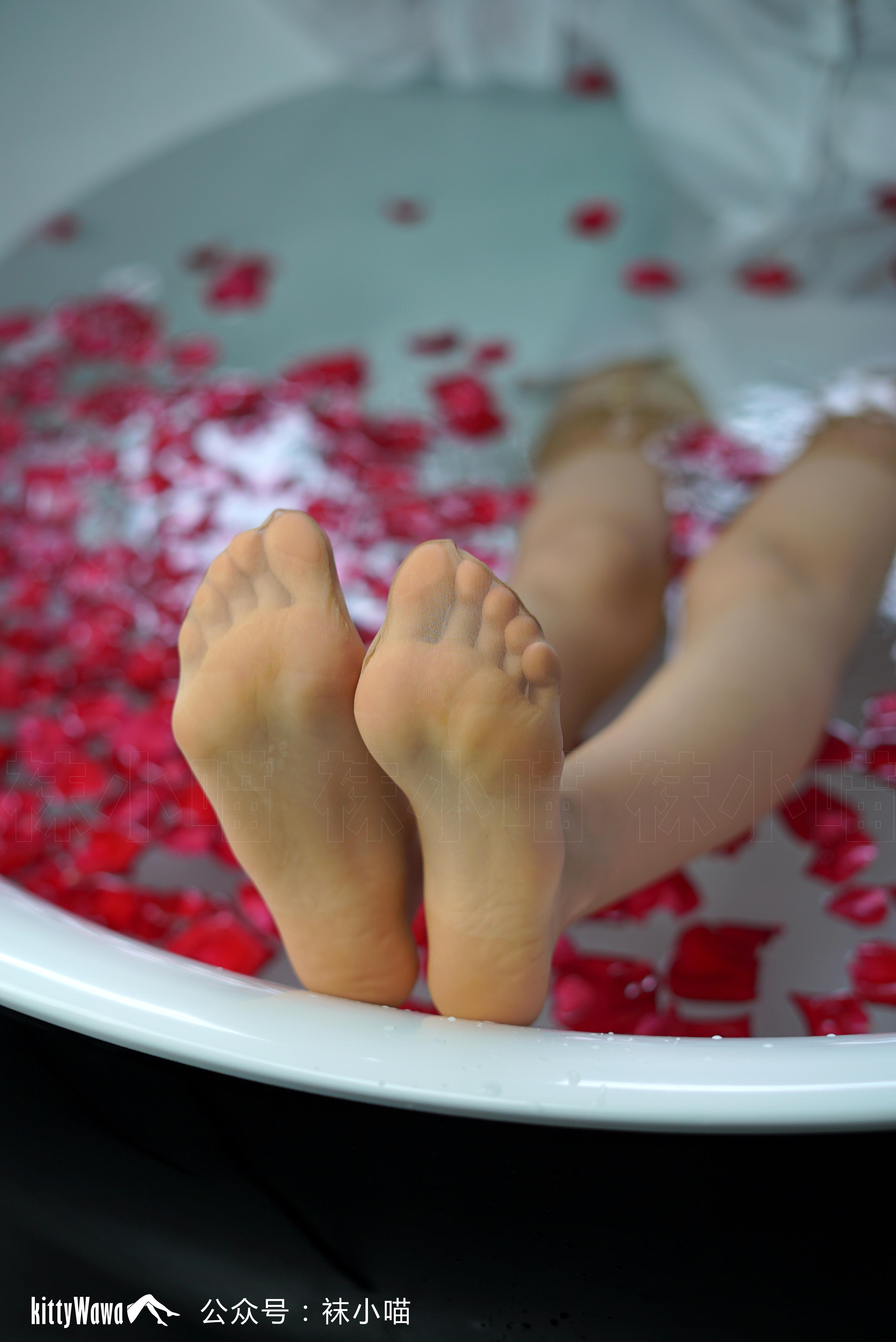 袜小喵 KT066 复古丝VS白衬衫 [61P+40M]_第3集