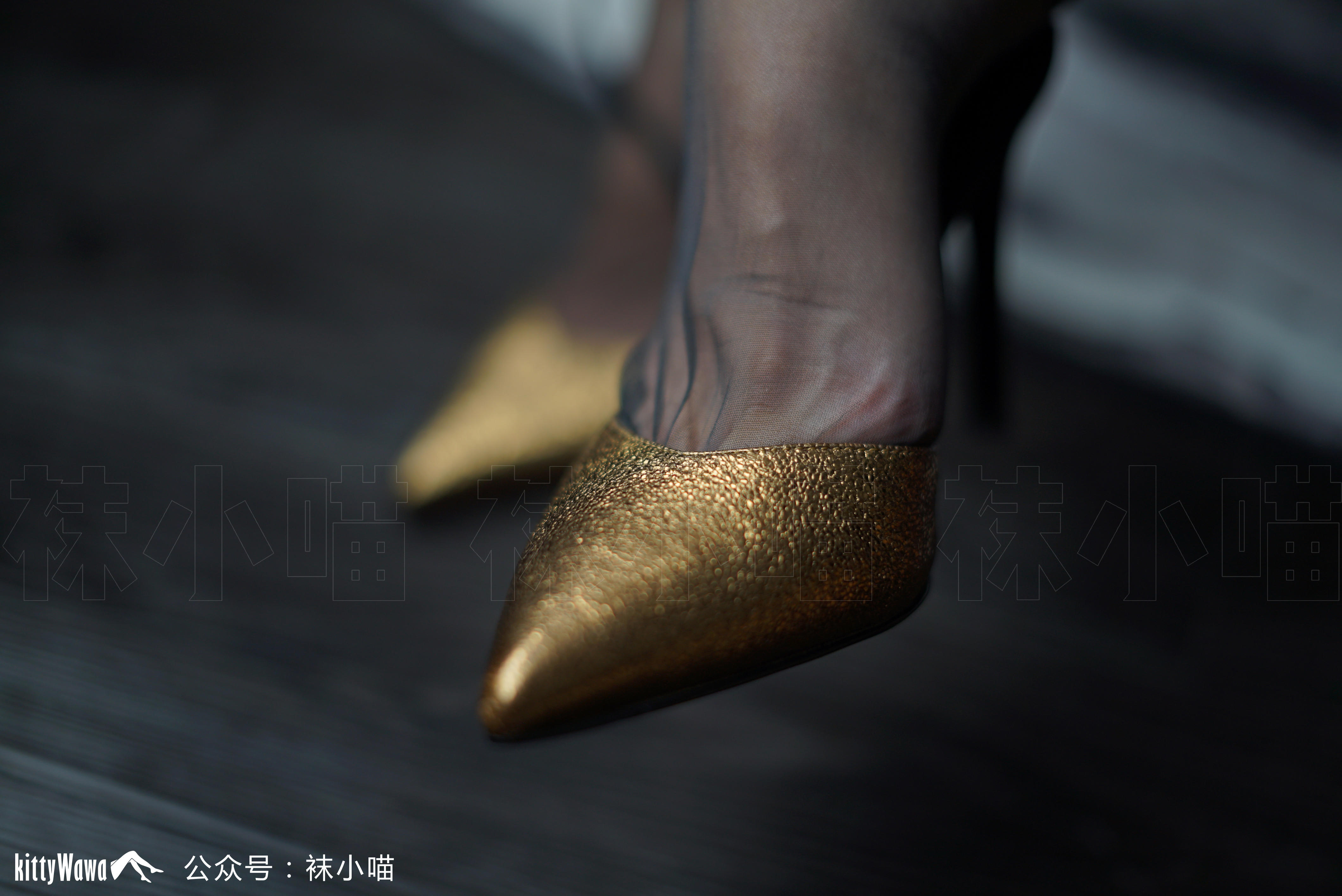 袜小喵 KT068 女王的宝座 [60P+44M]_第3集