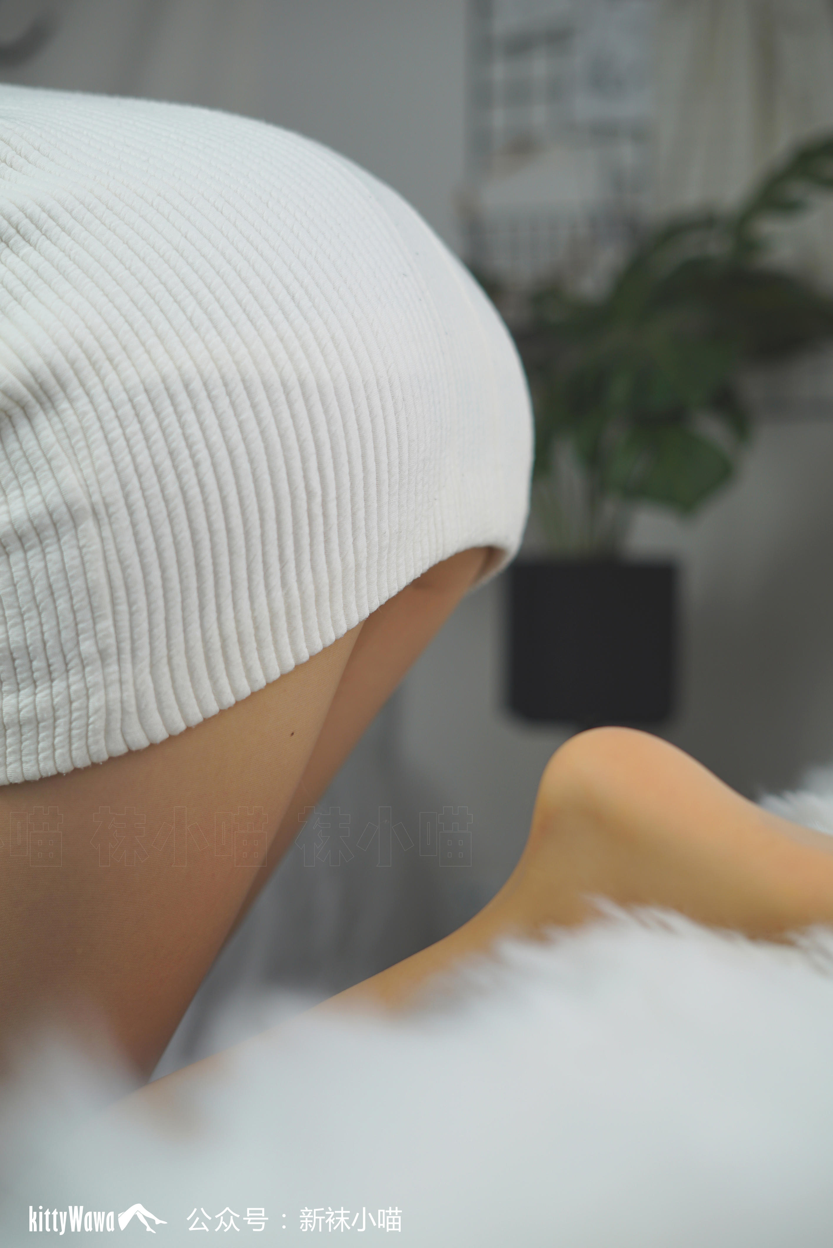 袜小喵 KT076 初冬的白色毛衣 [59P+34M]_第1集