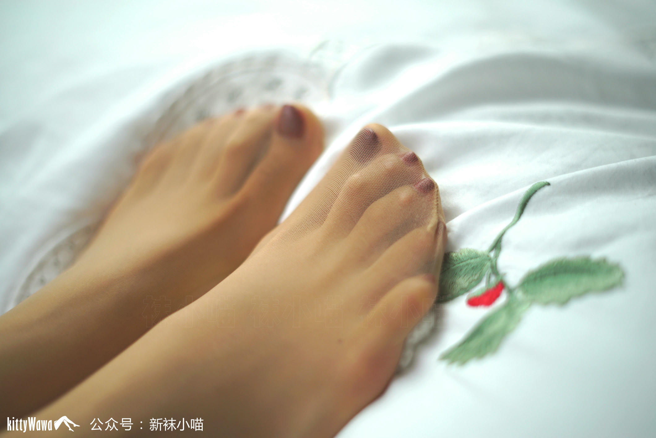 袜小喵 KT076 初冬的白色毛衣 [59P+34M]_第1集